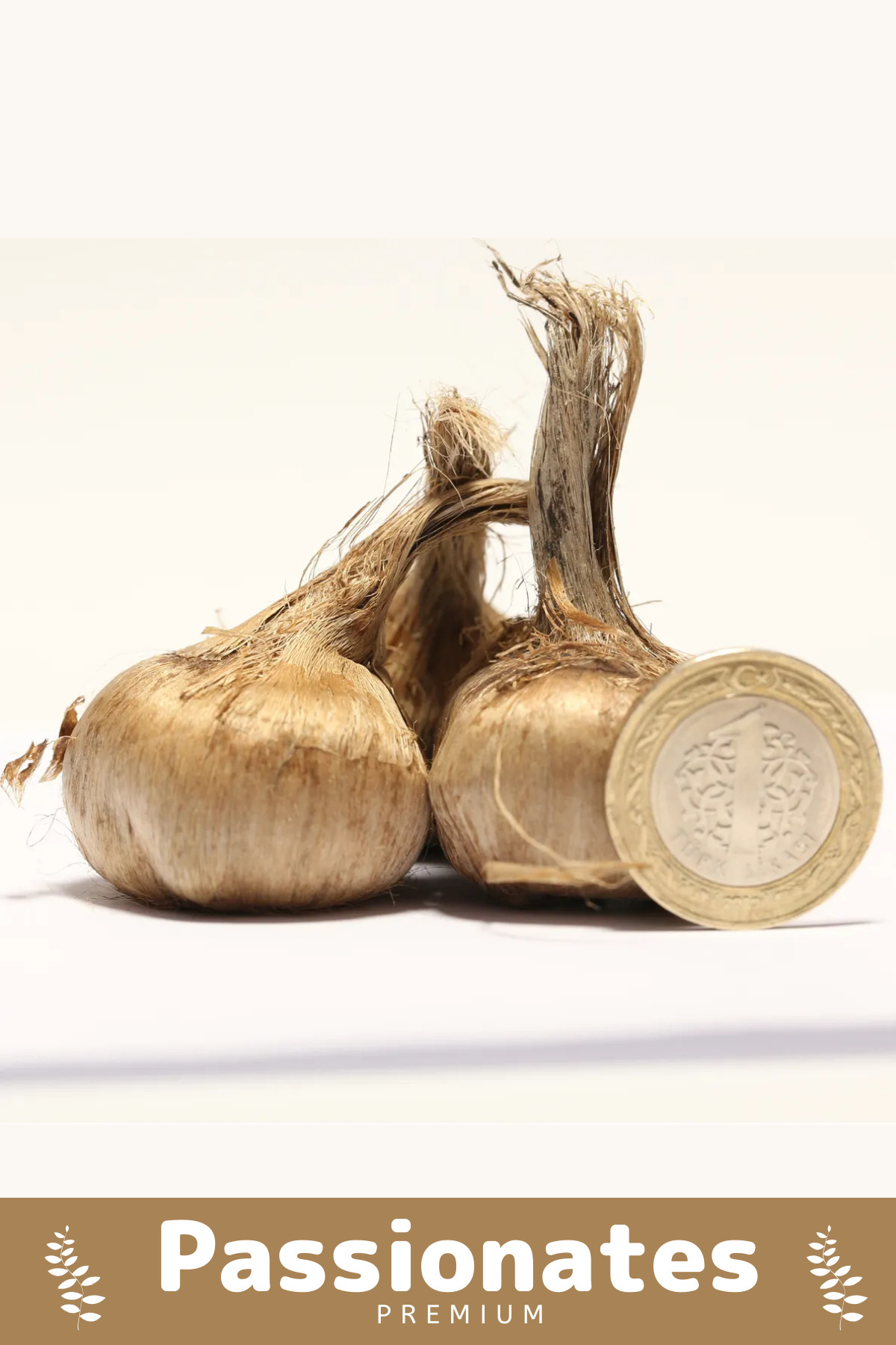 Armoris Deluxe Özel Dikime Hazır Yerli Üretim Büyük Boy 1. Kalite Safranb