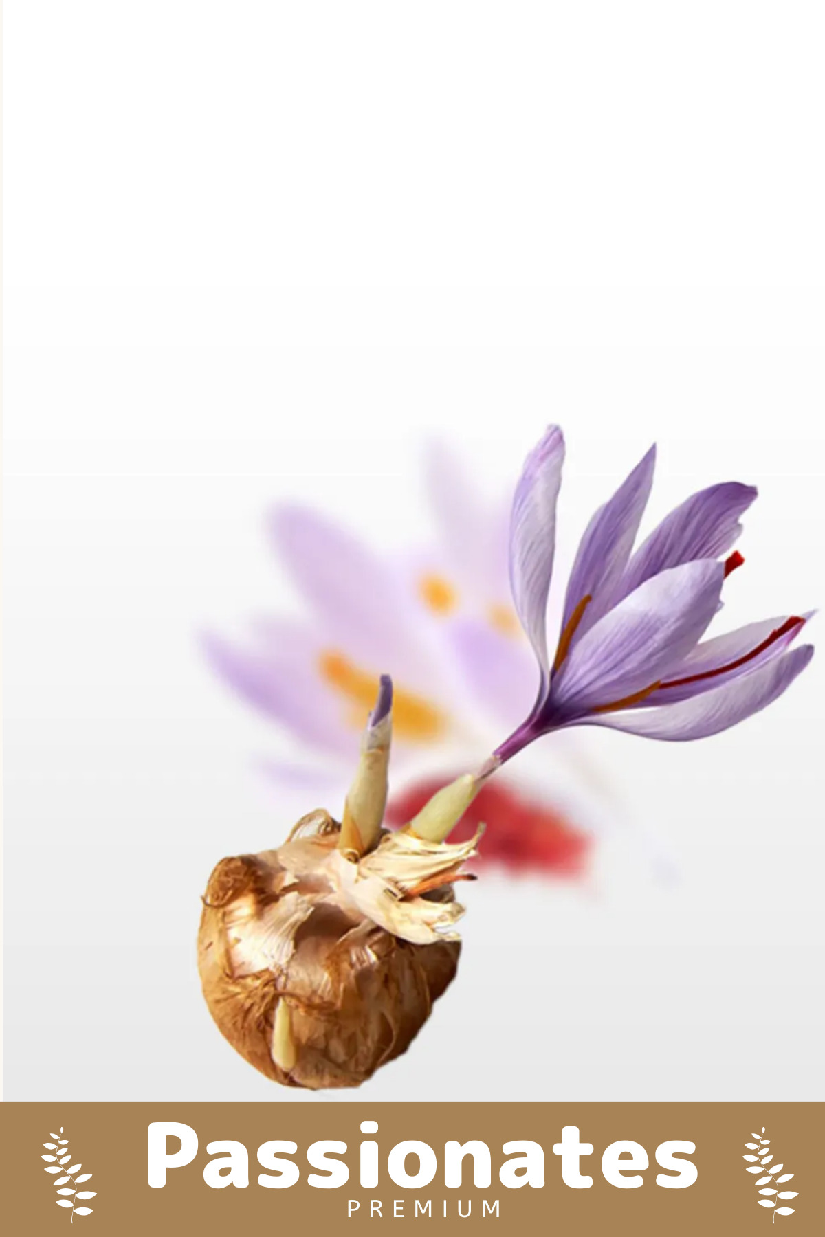 Armoris Deluxe Özel Dikime Hazır Yerli Üretim Büyük Boy 1. Kalite Safranb