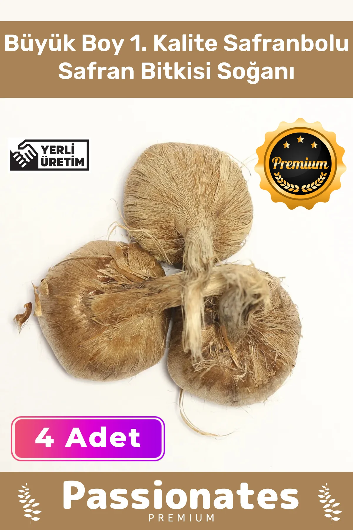 Deluxe Özel Dikime Hazır Yerli Üretim Büyük Boy 1. Kalite Safranbolu Safran Bitkisi Soğanı - 4 Adet