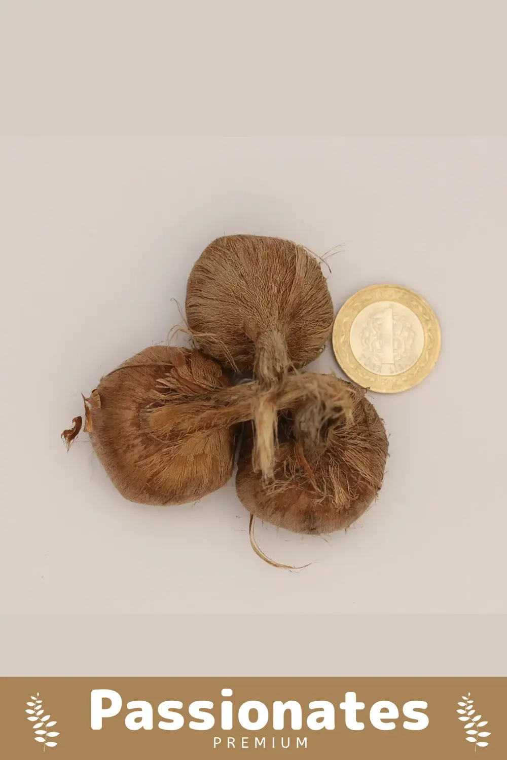 Deluxe Özel Dikime Hazır Yerli Üretim Büyük Boy 1. Kalite Safranb