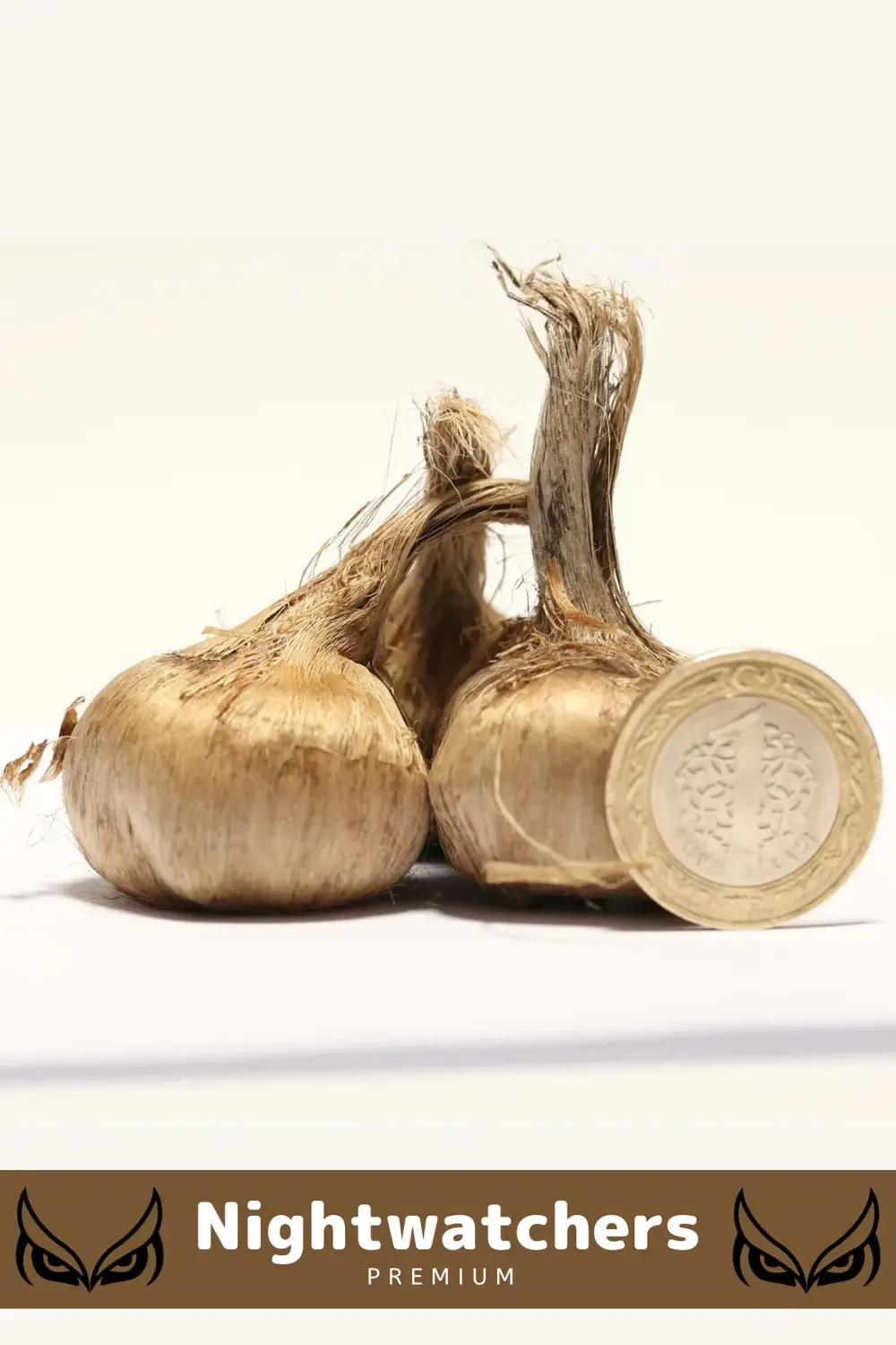 Deluxe Özel Dikime Hazır Yerli Üretim Büyük Boy 1. Kalite Safranb