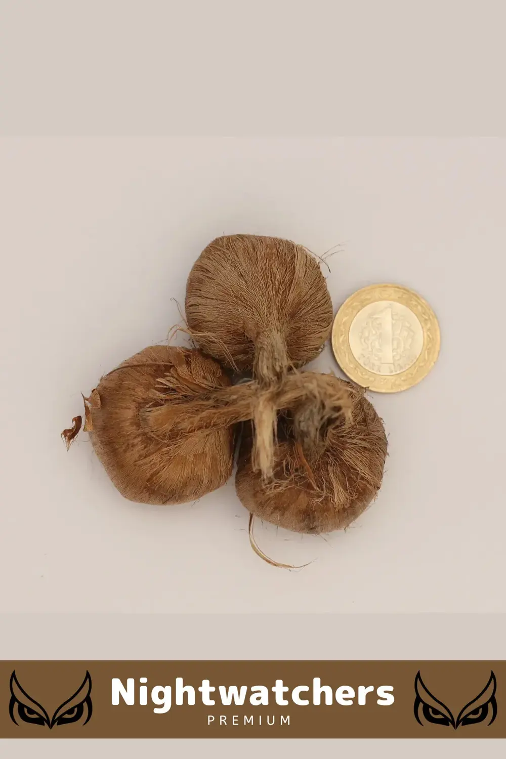 Deluxe Özel Dikime Hazır Yerli Üretim Büyük Boy 1. Kalite Safranb