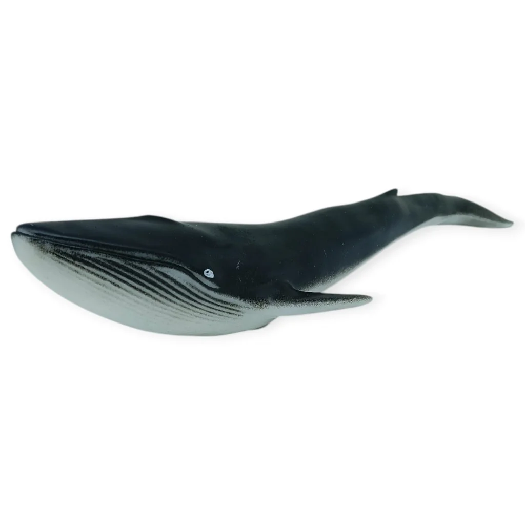 Deniz Hayvanları Serisi - Balina 29 cm - 1 ADET Fiyatı, Yorumları ve Özellikleri