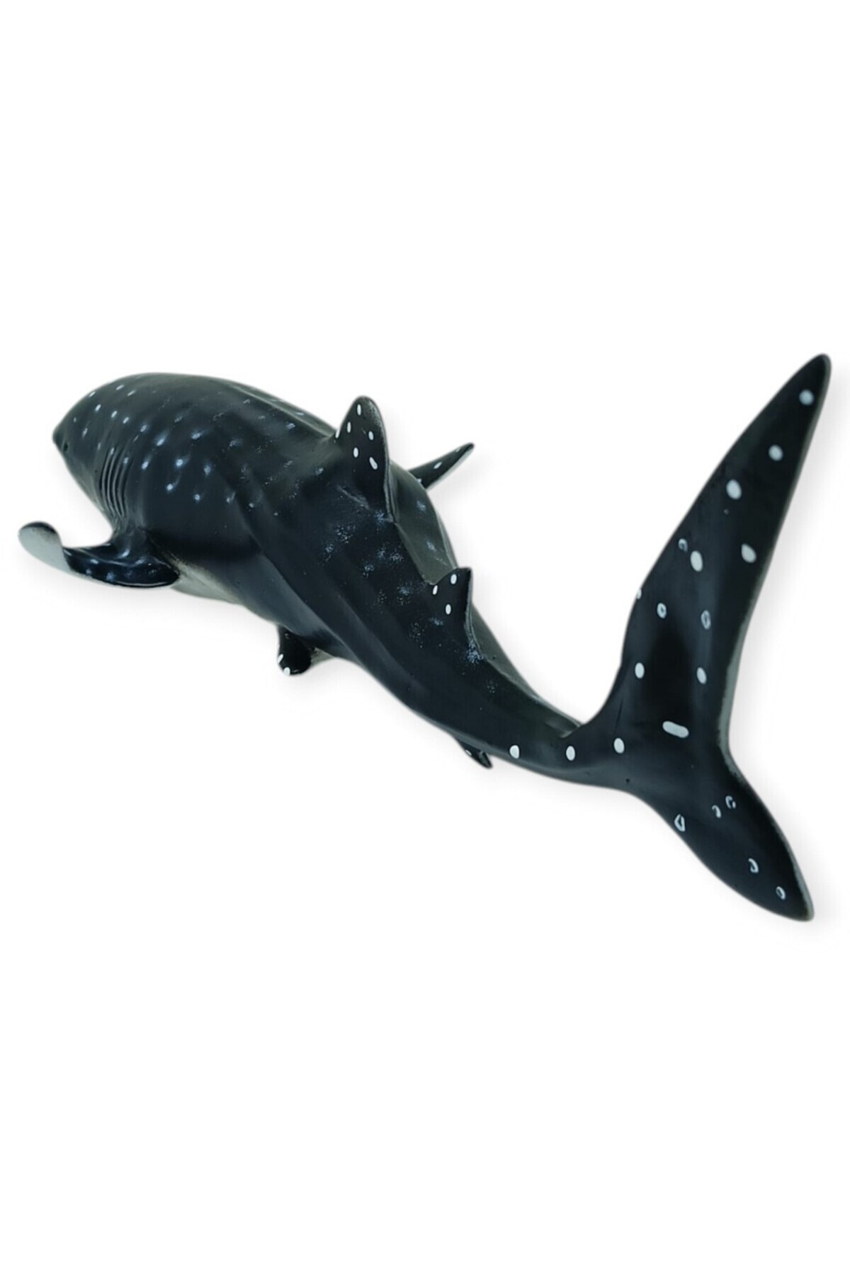 Deniz Hayvanları Serisi - Balina Köpekbalığı 29 cm (Lisinya)