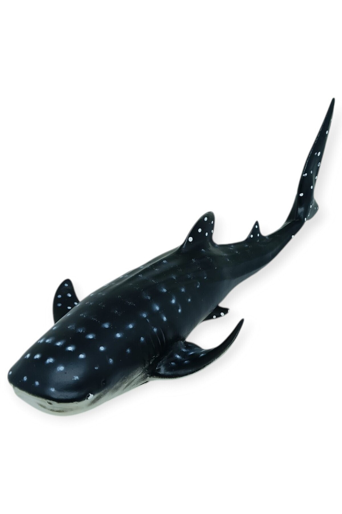 Deniz Hayvanları Serisi - Balina Köpekbalığı 29 cm (Lisinya)