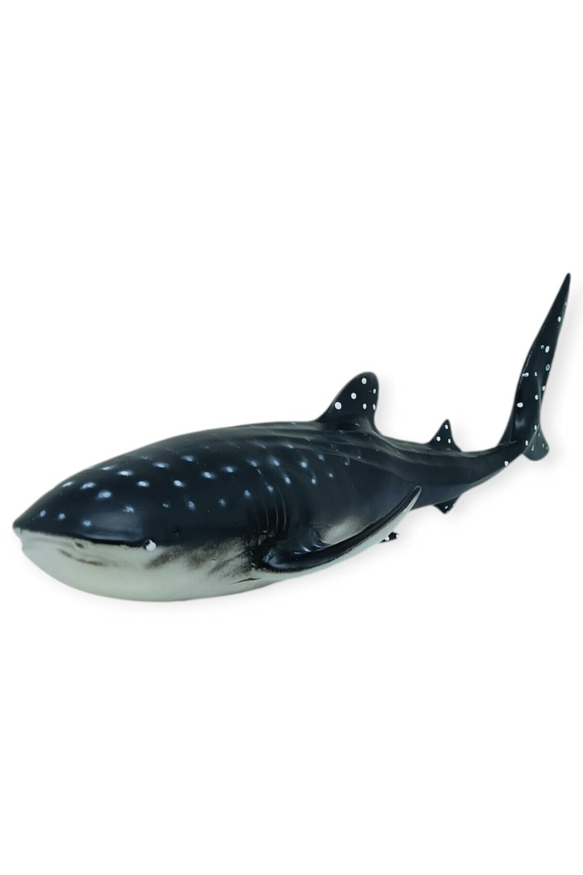 Deniz Hayvanları Serisi - Balina Köpekbalığı 29 cm (Lisinya)