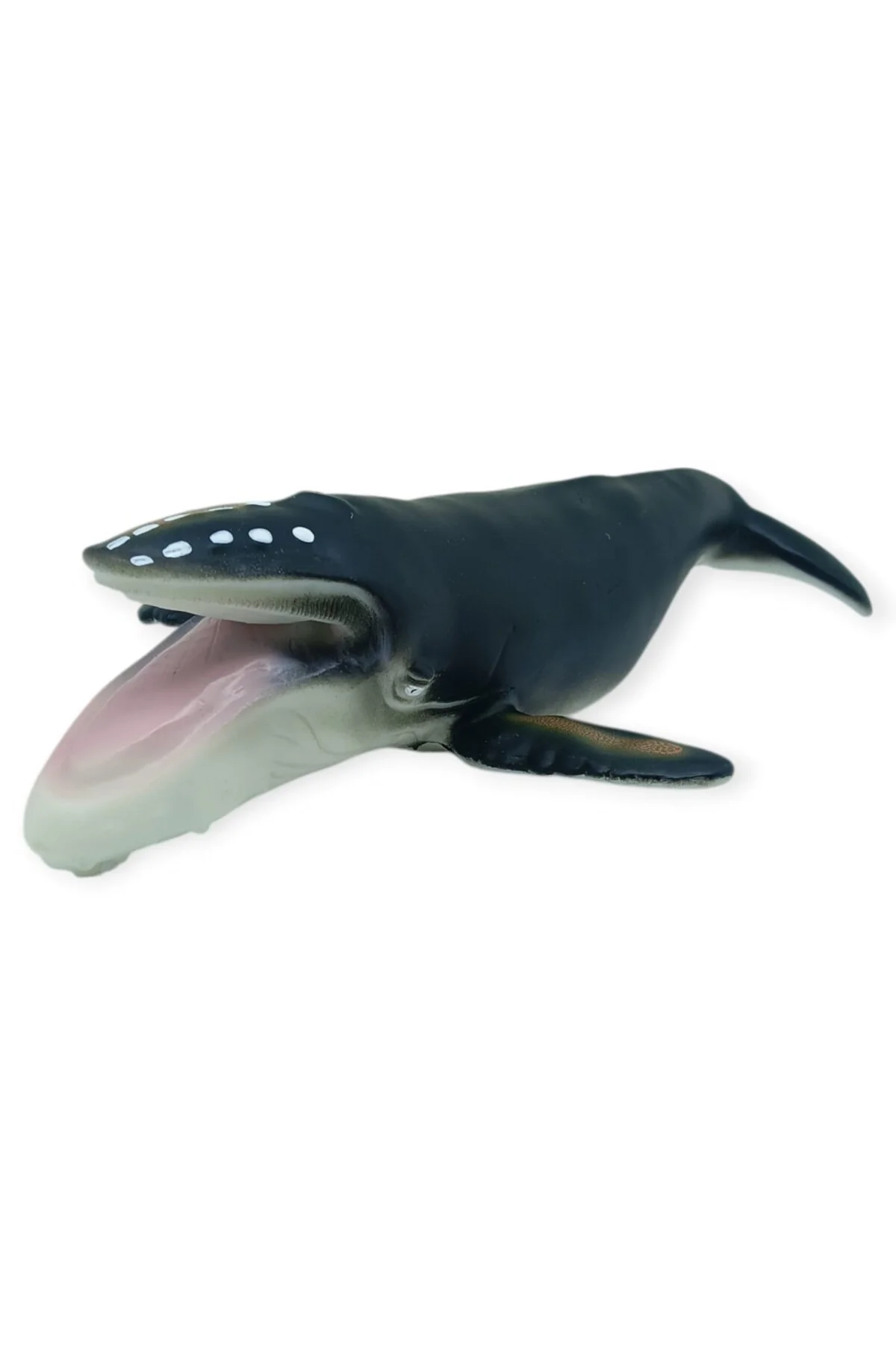 Deniz Hayvanları Serisi - Kambur Balina 30 cm (Lisinya)