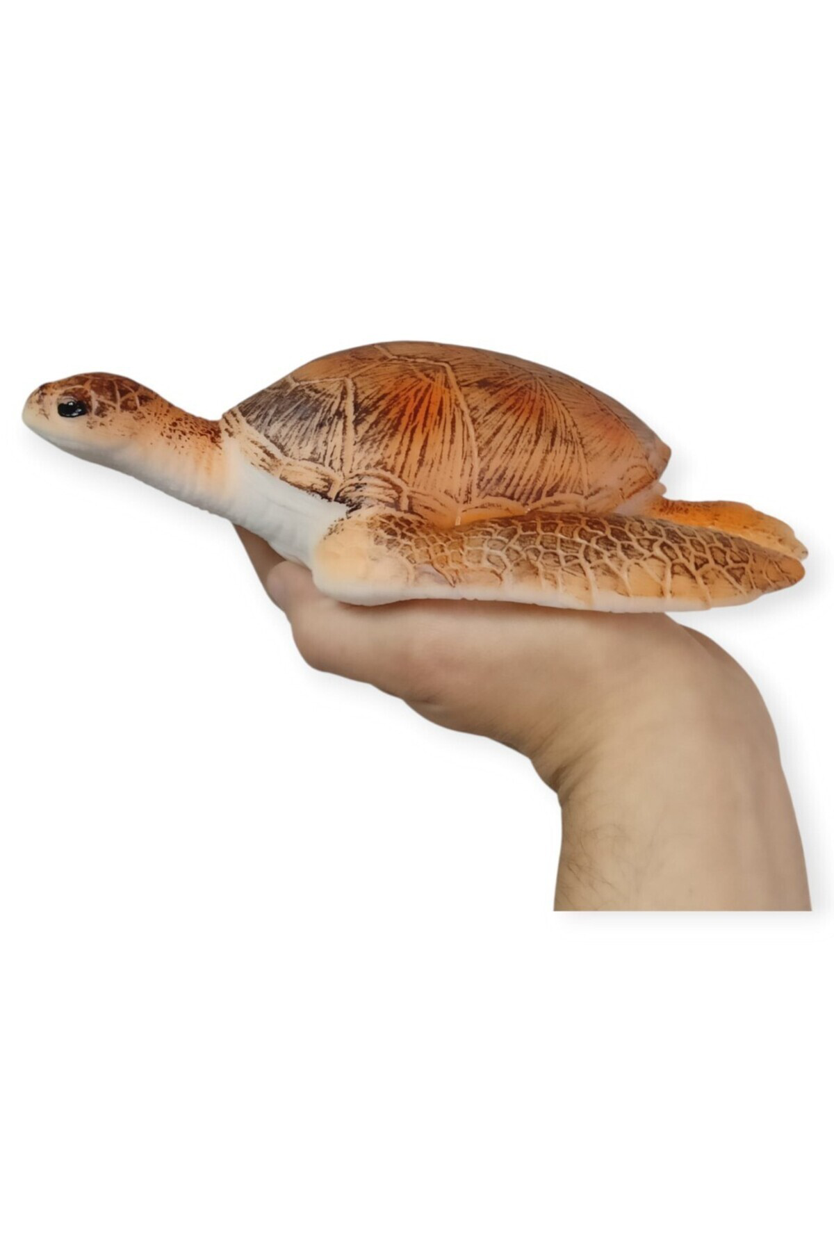 Deniz Hayvanları Serisi - Caretta Caretta 22 cm (Lisinya)