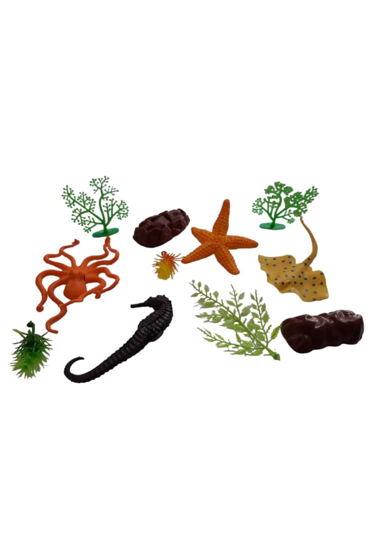 Ctoys Deniz Hayvanları Set Silindir Kutulu