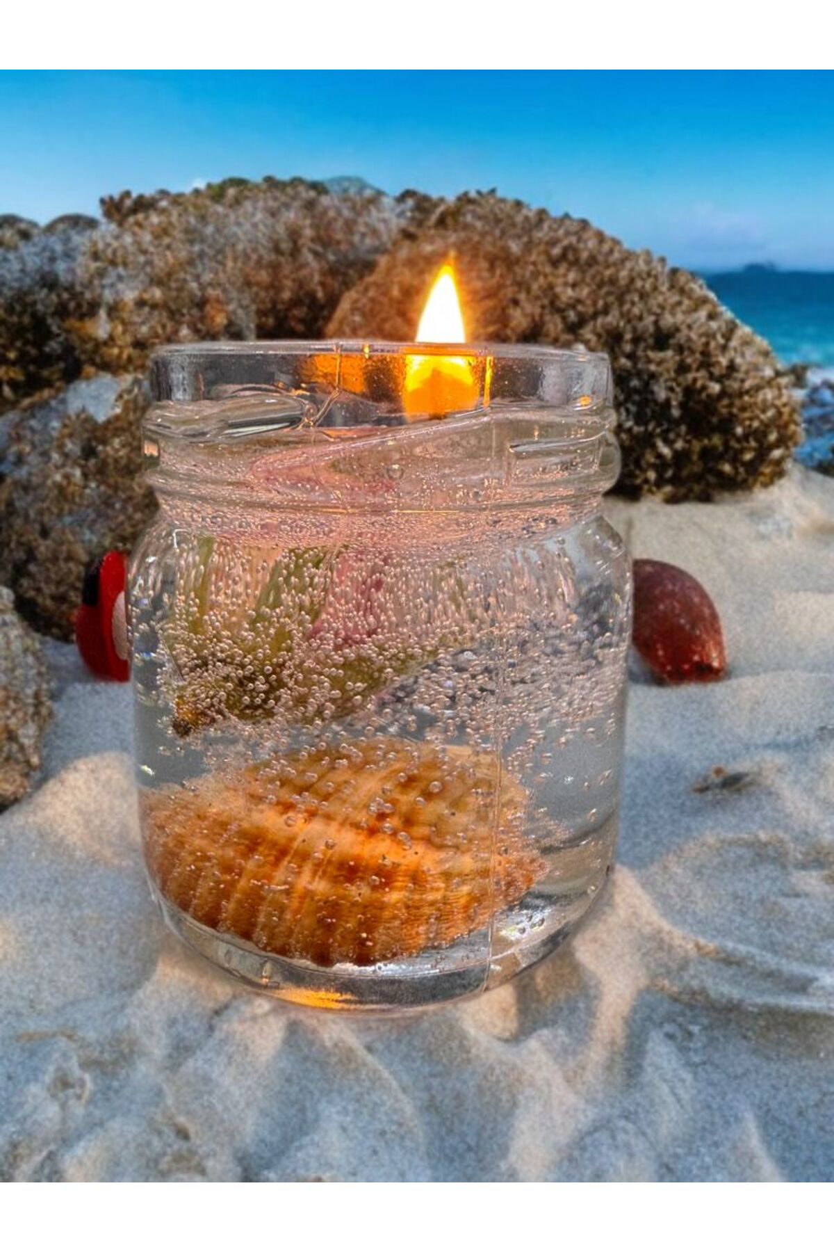 Aresmumatölyesi  Deniz Kabuklu Uğur Böcekli Gül Detayli Cam Kavanozda Dekoratif He