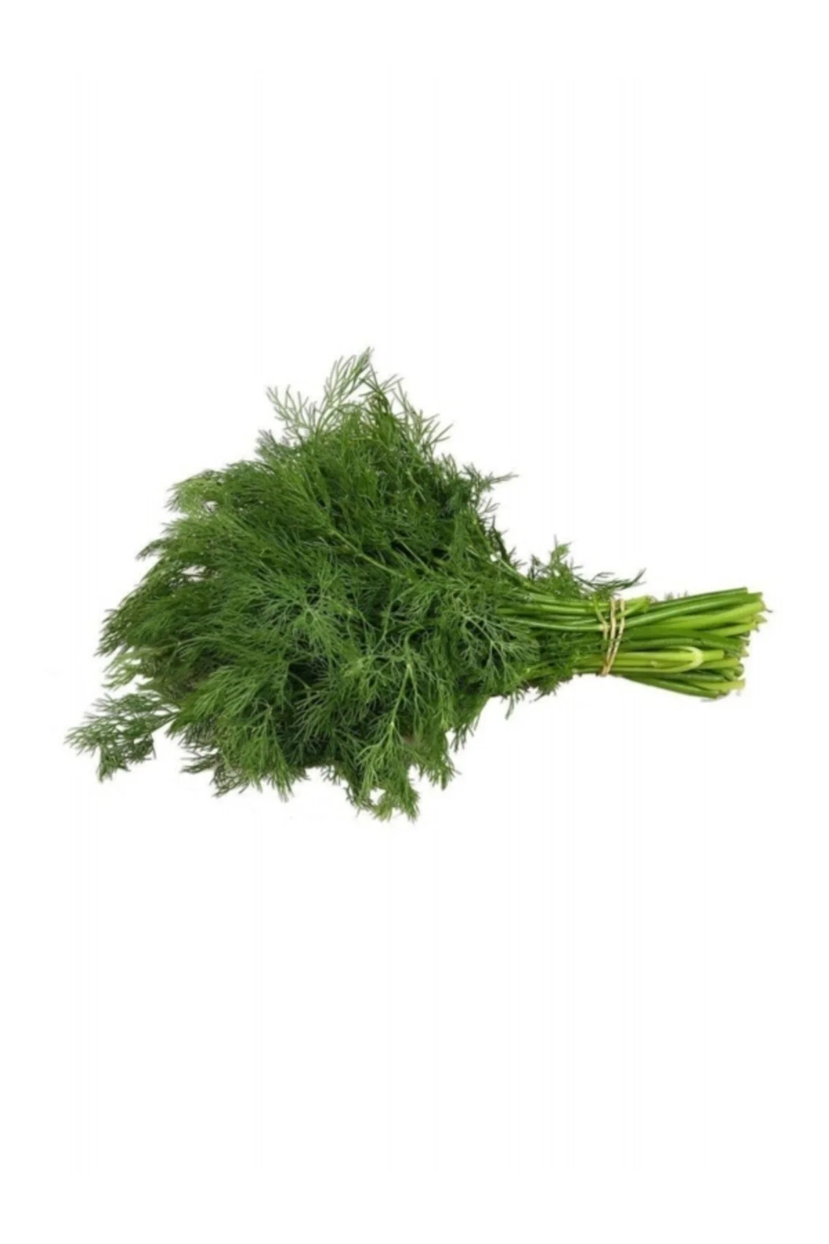 Dere Otu Tohumu 10 Gr