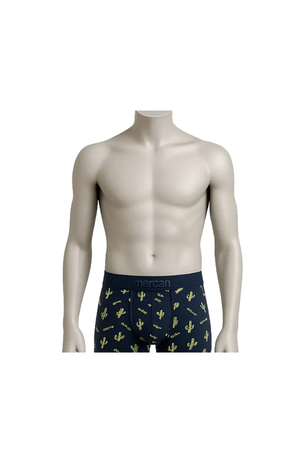 Desenli Likralı Pamuklu Baskılı Erkek Boxer - KAKTÜS