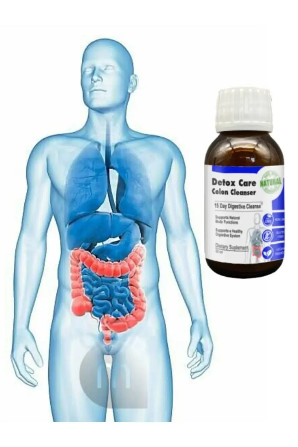 Detox Care Yeme Sonrası Ferahlık Hissi İçin Destek Şurubu 50 ml x