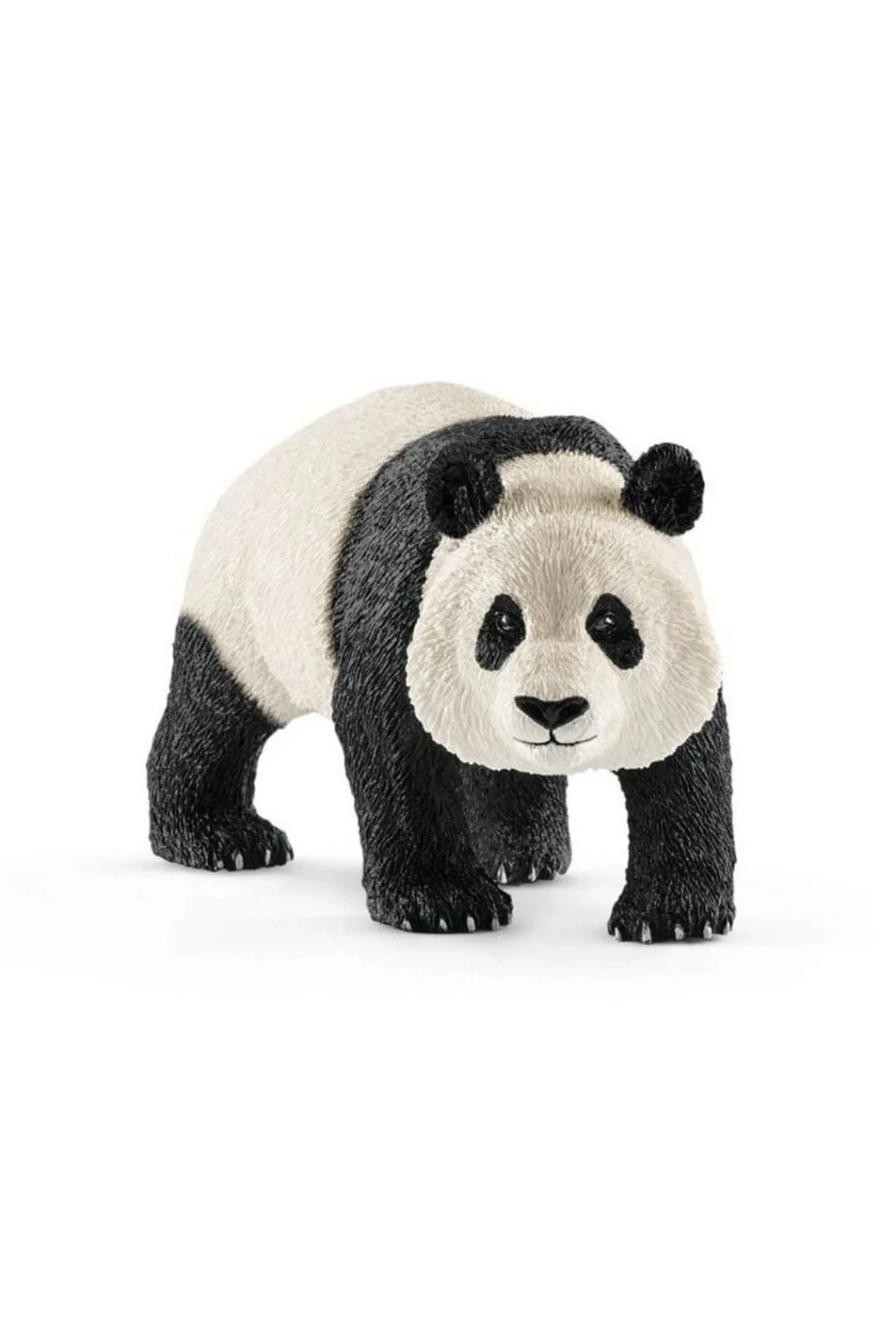 Dev Panda