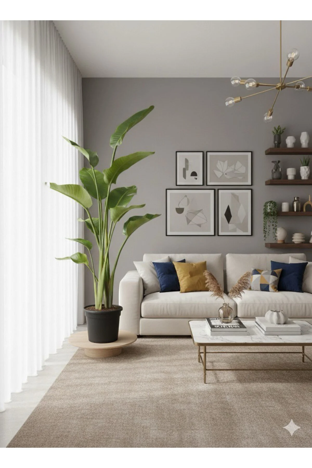 Dev Starliçe (Beyaz Cennet Kuşu Çiçeği) 2 Köklü Strelitzia Nicola Dev Starliçe (Beyaz Cennet Kuşu Çiçeği) 2 Köklü Strelitzia Nicola