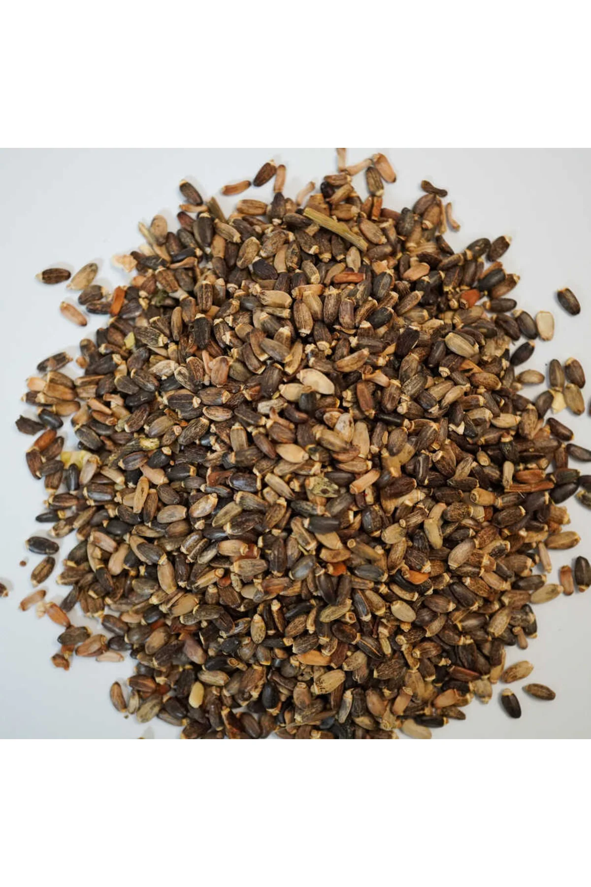Deve Dikeni Tohumu 100 Gr Fiyatı, Yorumları ve Özellikleri