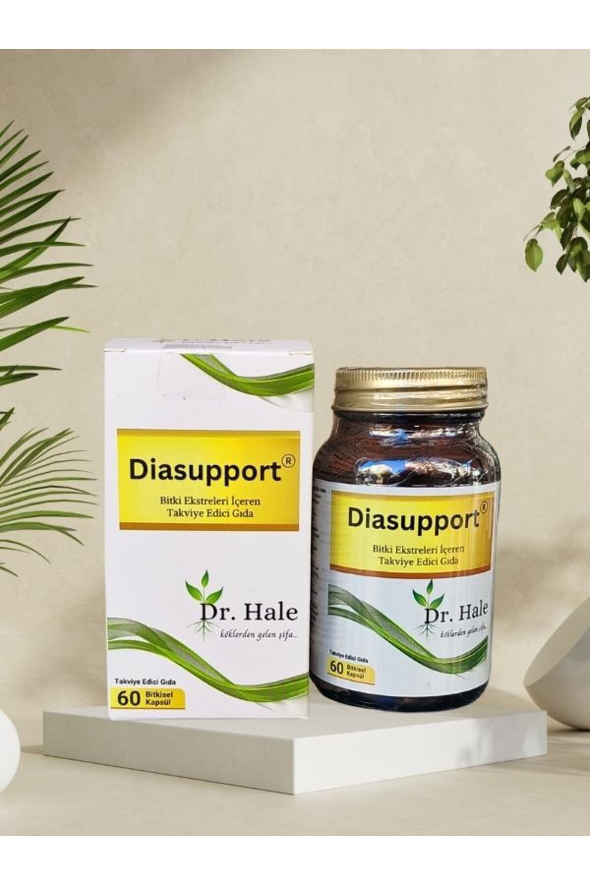 Diasupport Gurmar Içeren Kapsül 60 Bitkisel Kapsül