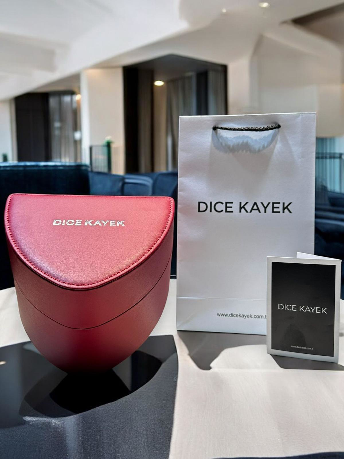 Dice Kayek İç Fonksiyonları Aktif Çelik Kordon Çelik Kasa 5 Atm K