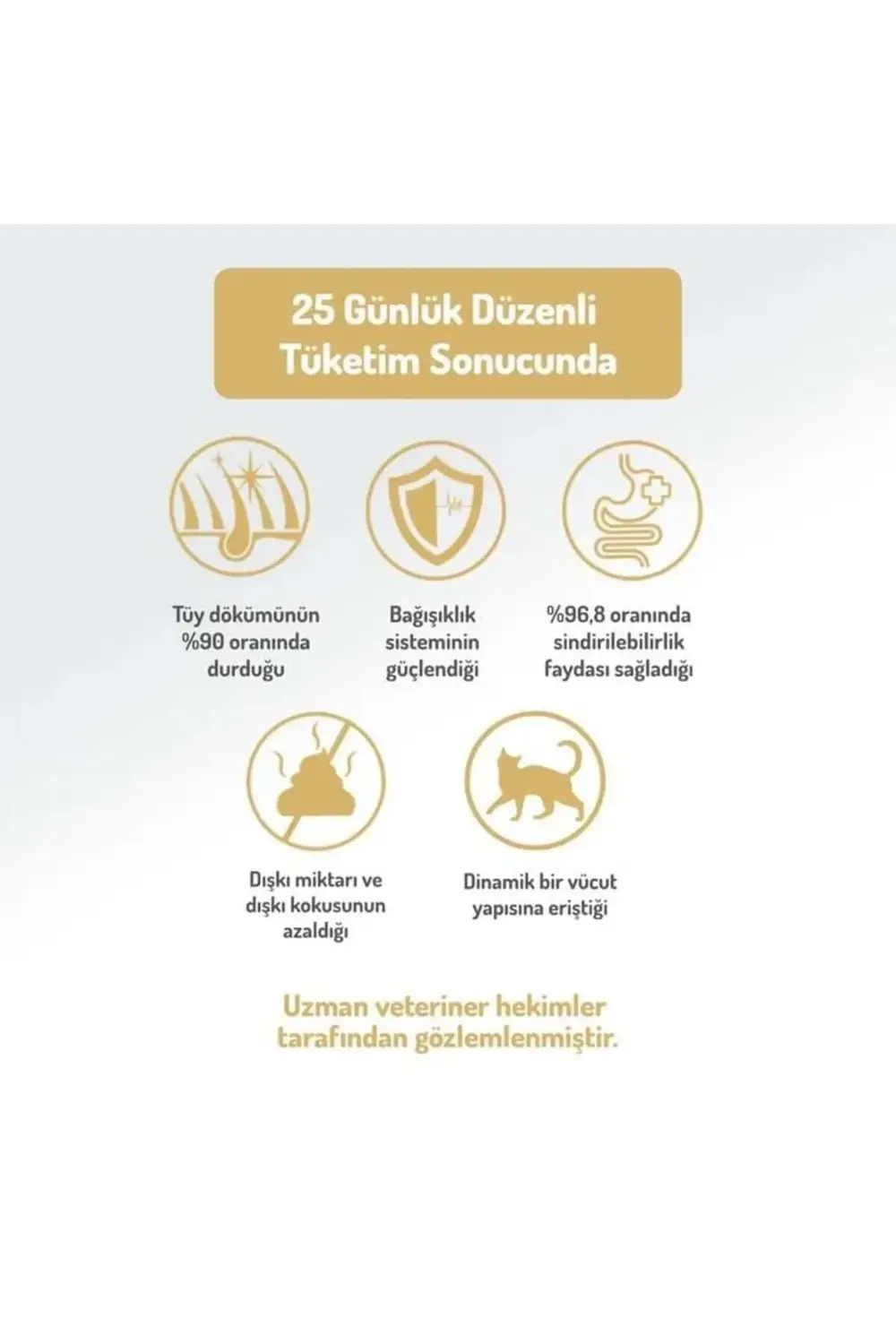 Digest Care Adult Chicken-Collagen 2 kg (Az Tahıllı & Hipoalerjen