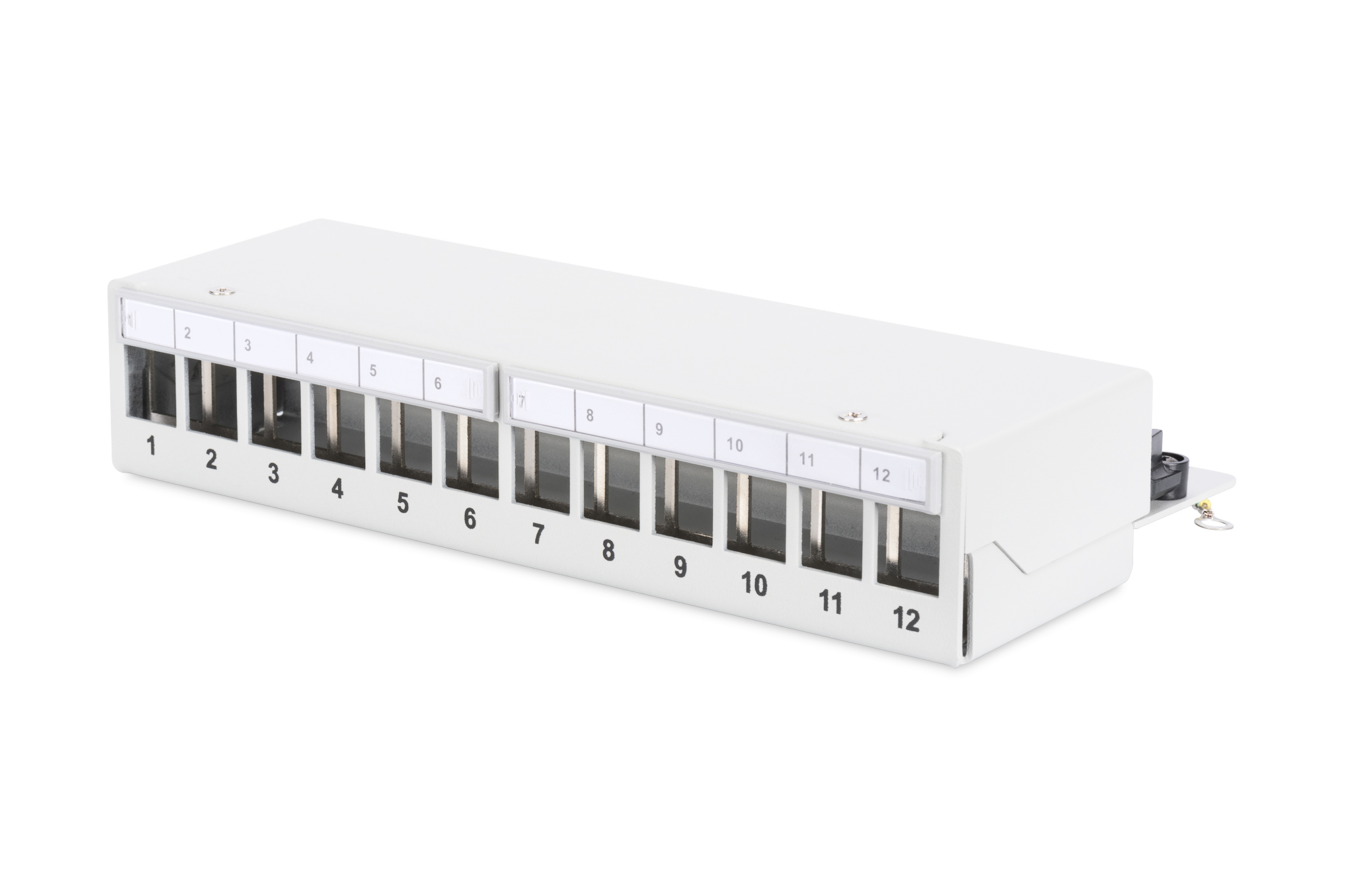 Evimdeyokyok Digitus 12 Port Modüler Masaüstü Tip Patch Panel, Zirhli (Shielde