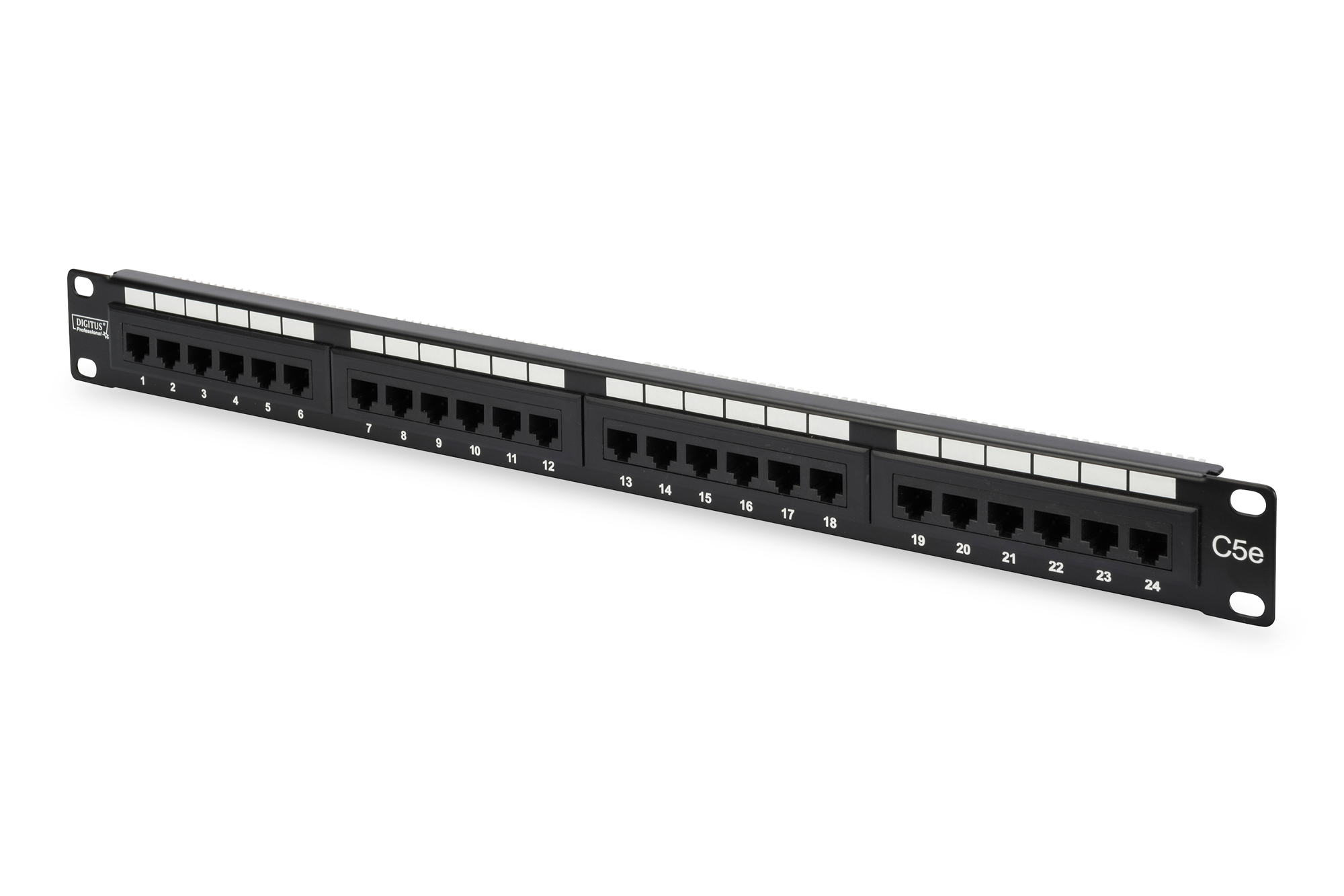 Evimdeyokyok Digitus 19 İnch 24 Port Cat-5E Utp Patch Panel, 50 Μ (Mikron), Al