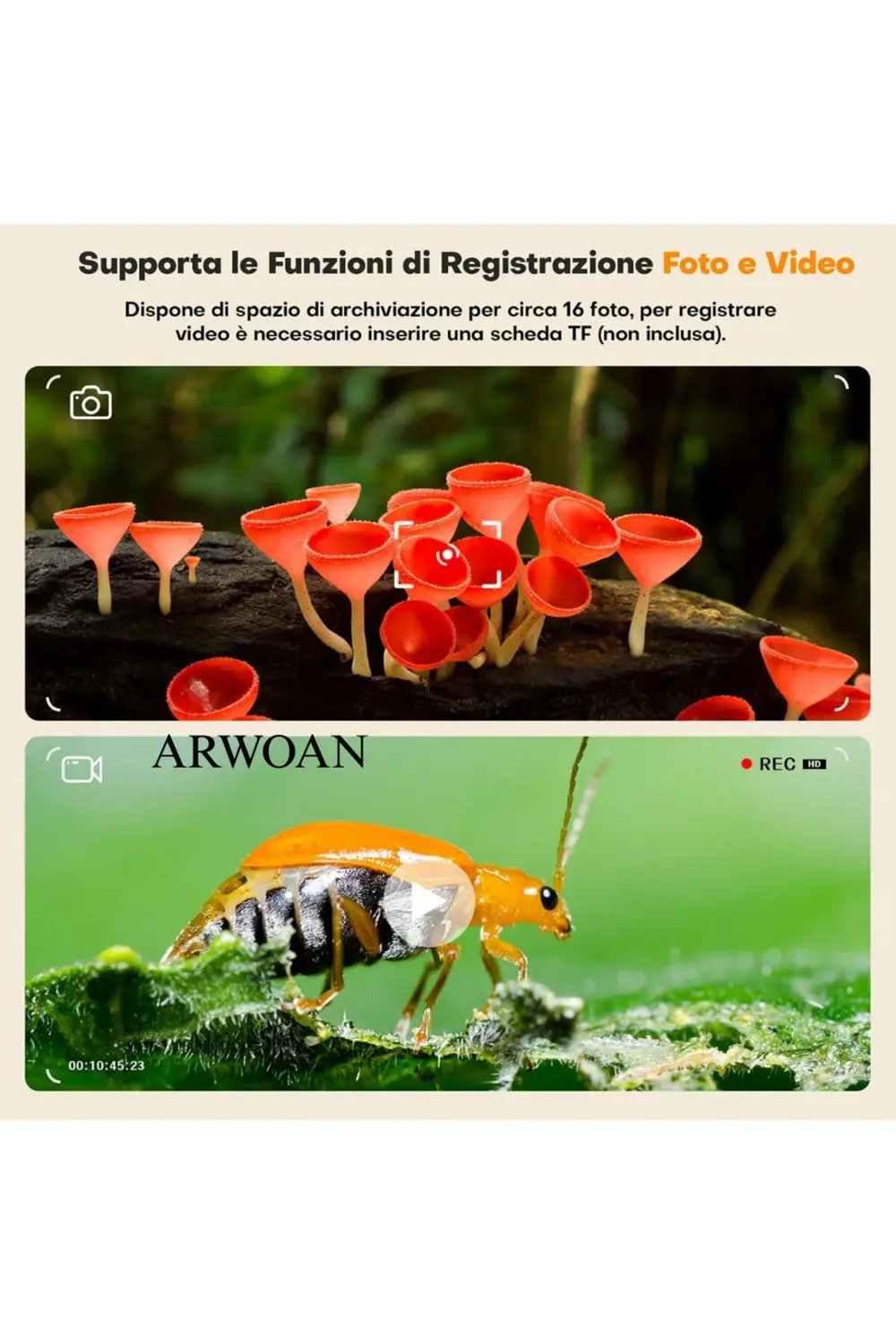 Dijital Çocuk Mikroskobu LCD Ekranlı, STEM Eğitici Oyuncak Taşına