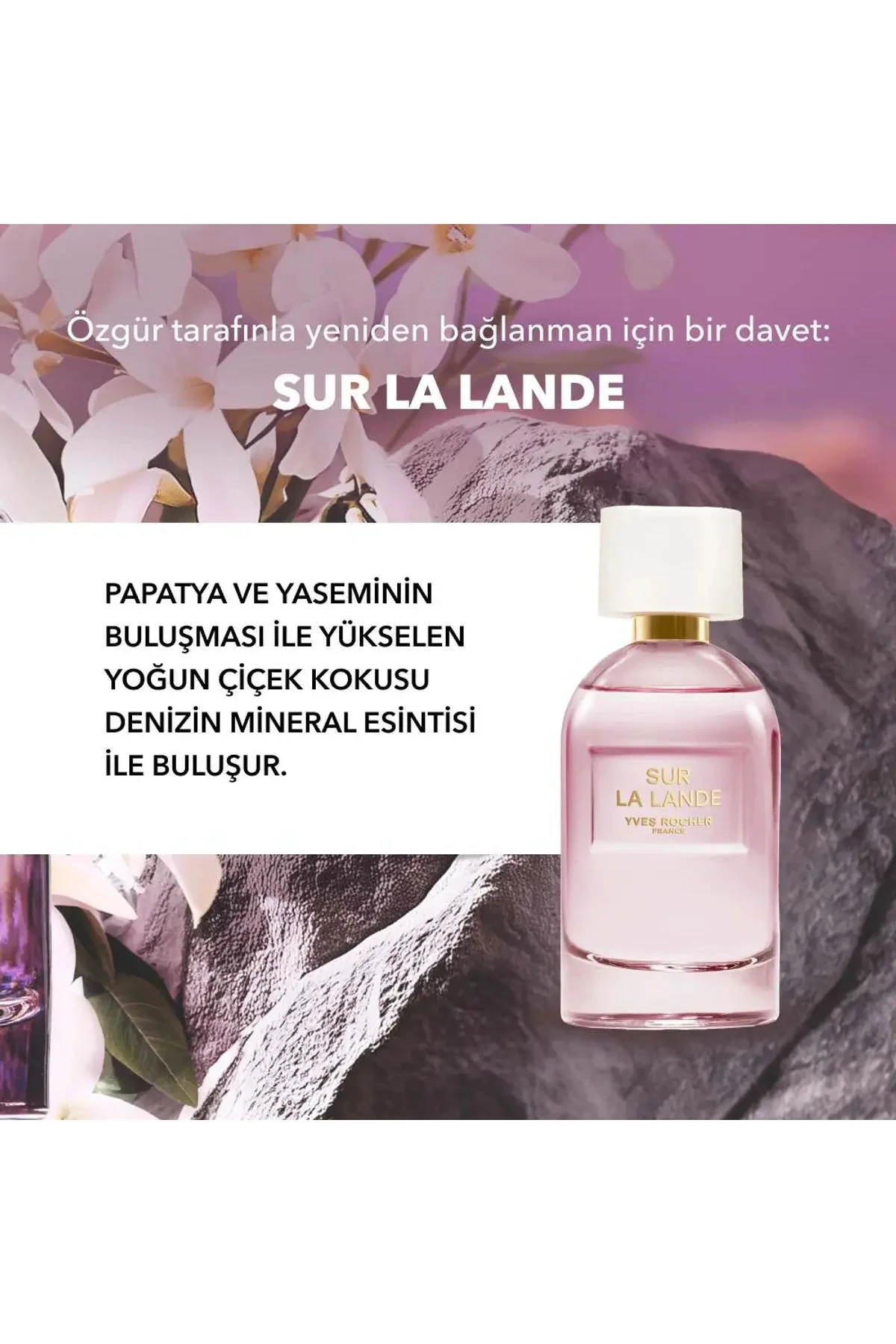 DİKKAT ÇEKEN Çiçeklerinin Hoş Kokusu İle Buluştu Sur La Lande Edp