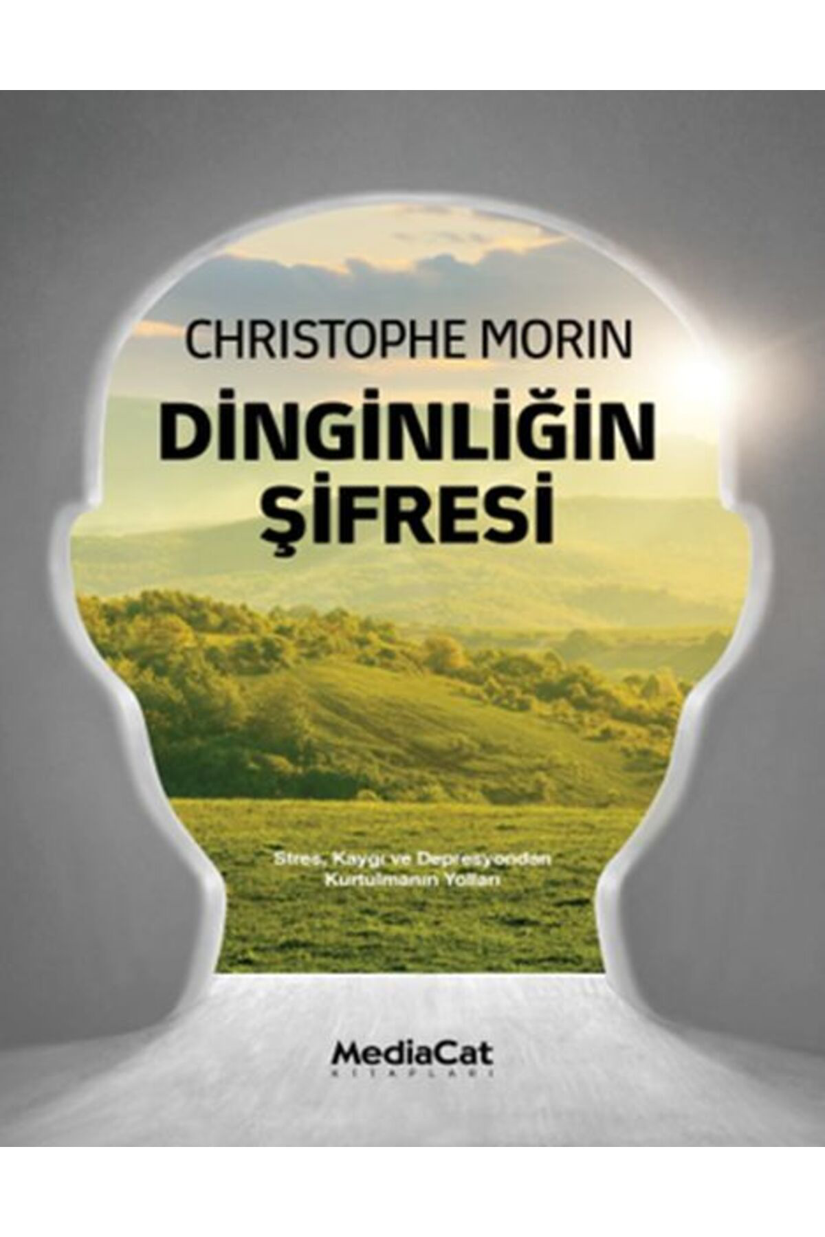 Mediacat Kitapları Dinginliğin Şifresi