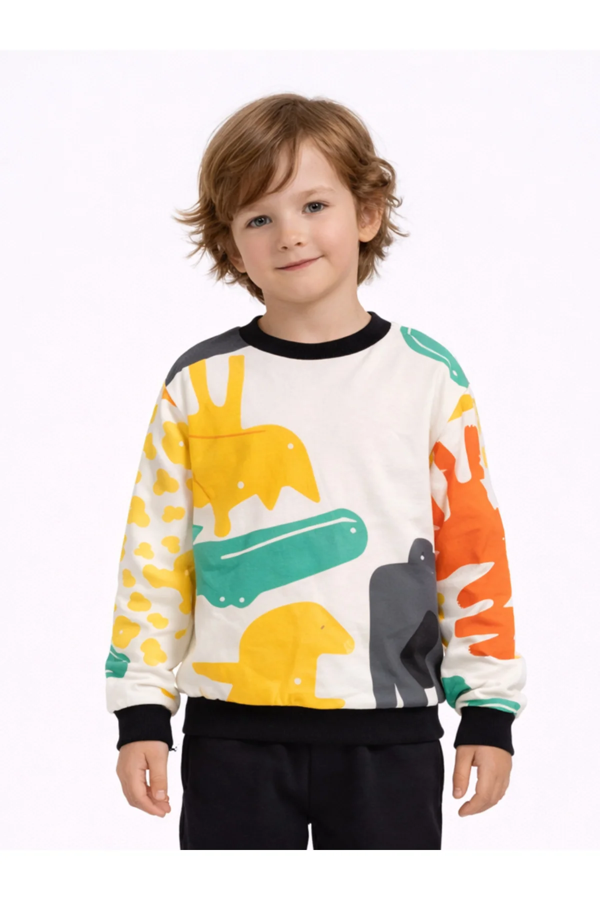 Dinos Baskılı Erkek Çocuk SweatShirt