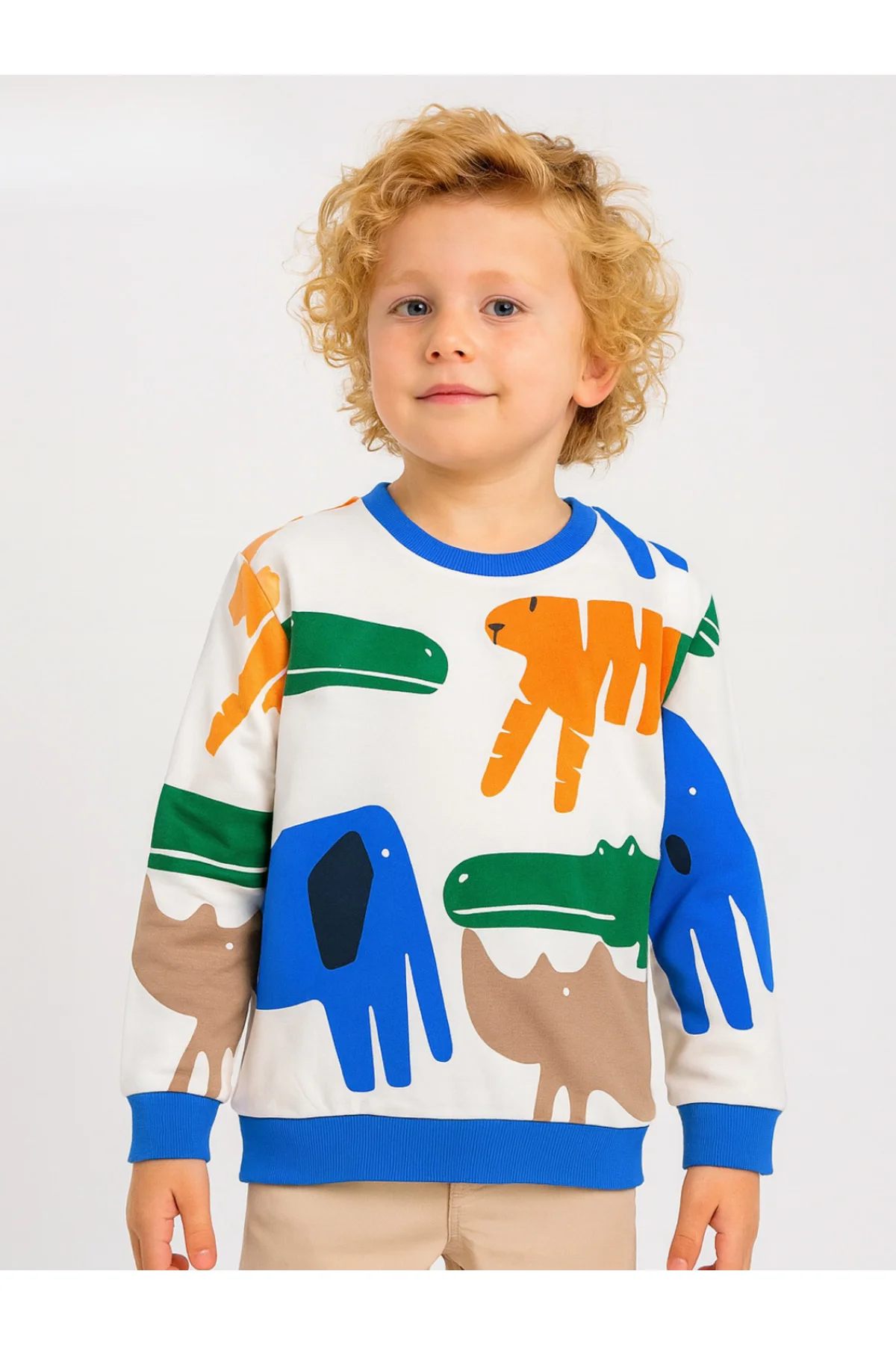 Dinos Pamuklu Erkek Çocuk Baskılı Sweatshirt