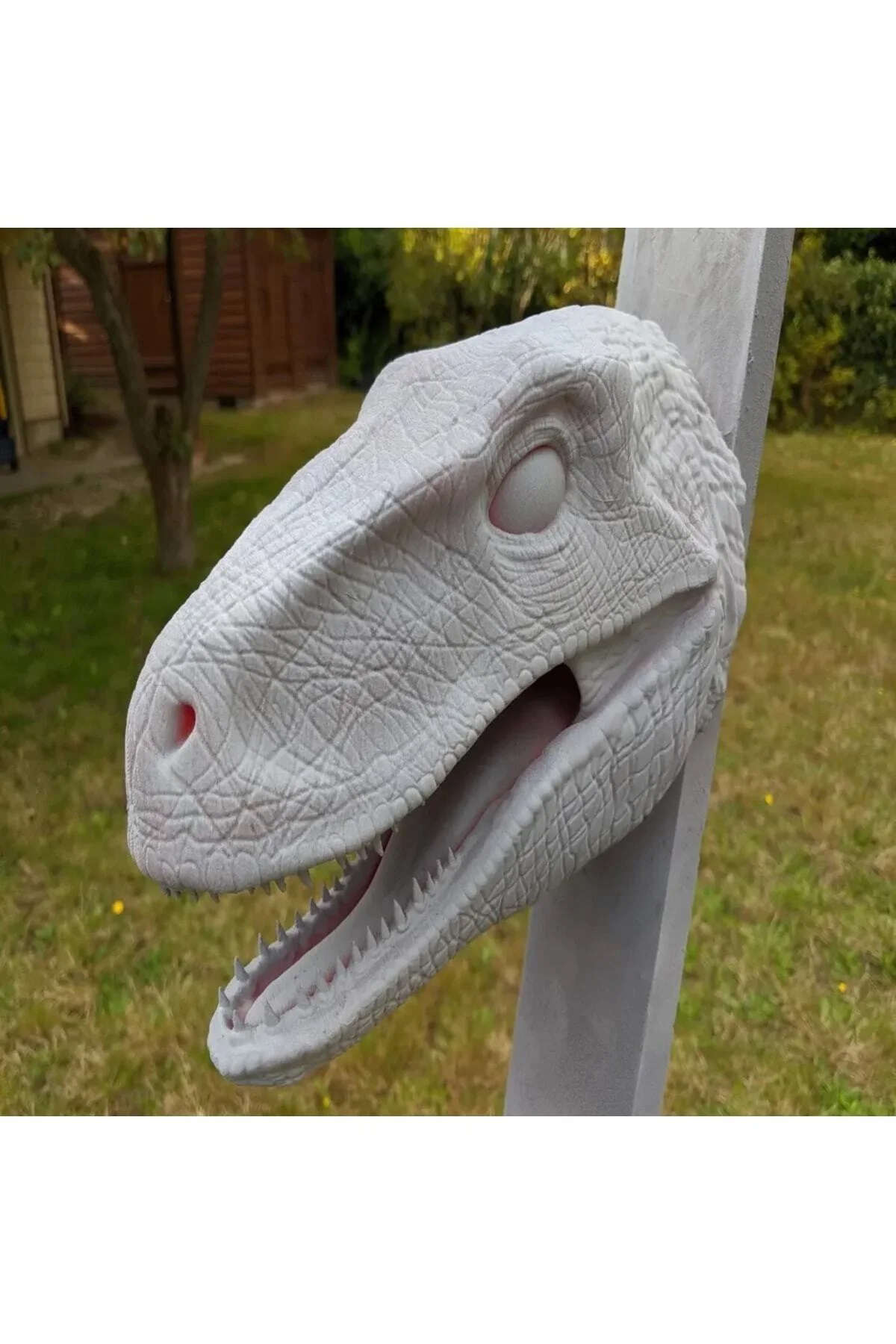 Dinozor Raptor Kafası Duvar Büstü Dev Boy