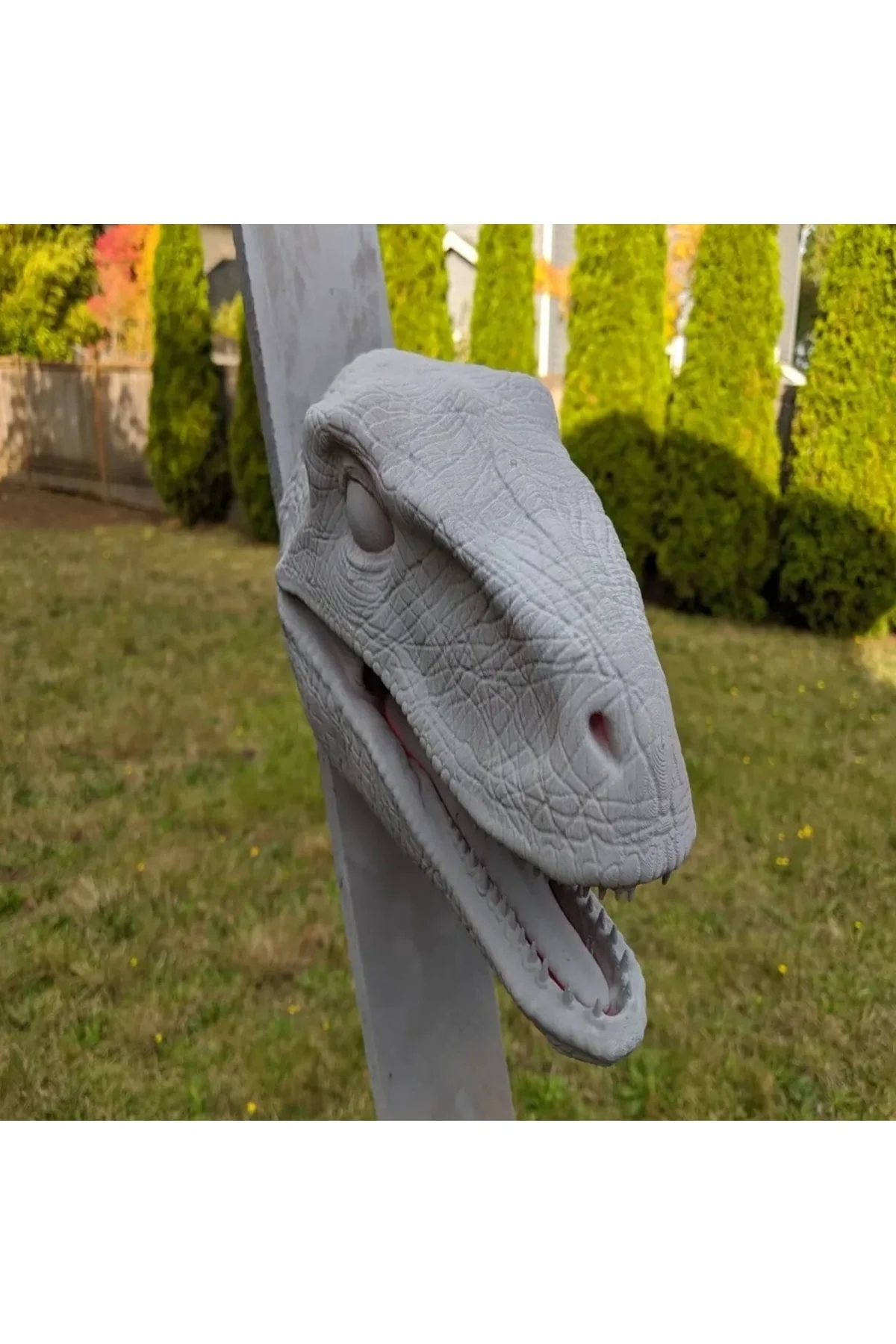 Dinozor Raptor Kafası Duvar Büstü Dev Boy