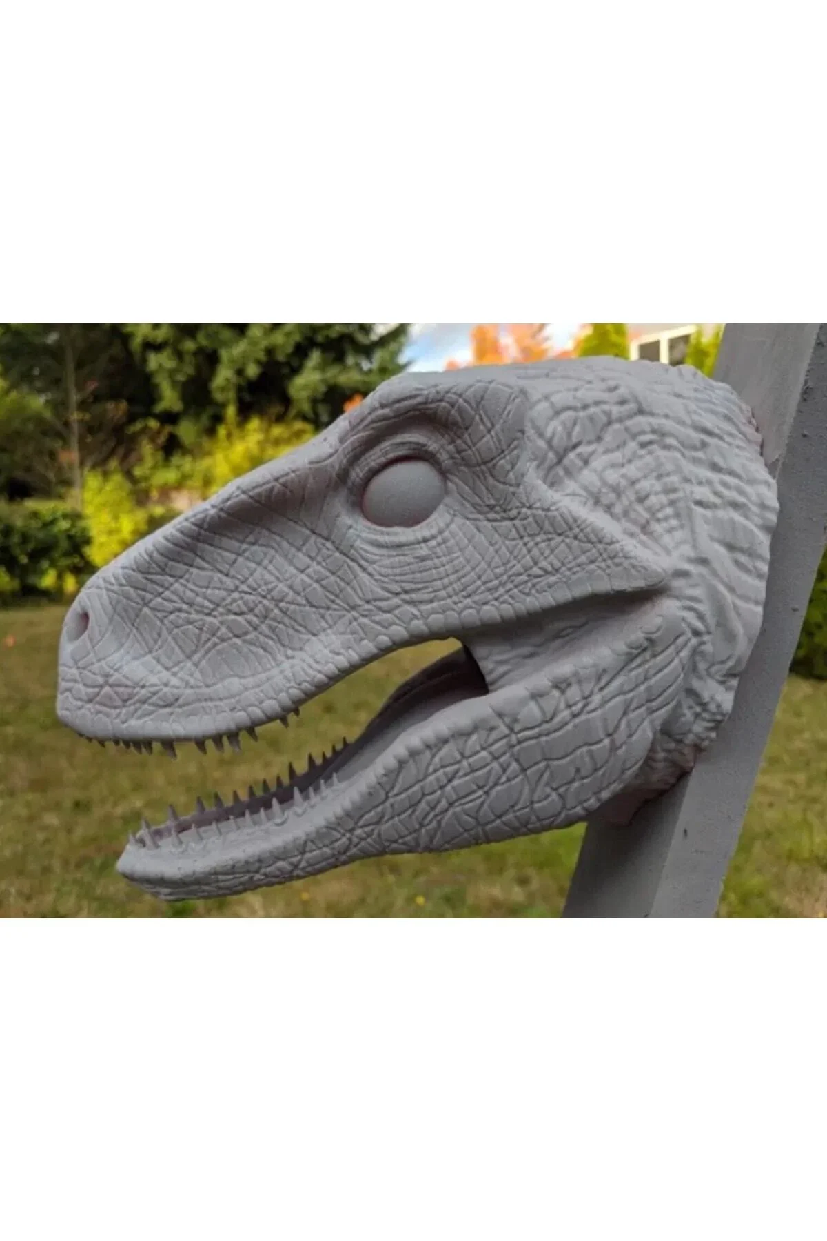 Dinozor Raptor Kafası Duvar Büstü Dev Boy