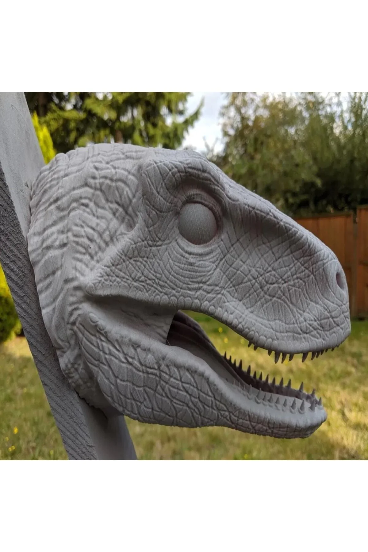 Dinozor Raptor Kafası Duvar Büstü Dev Boy
