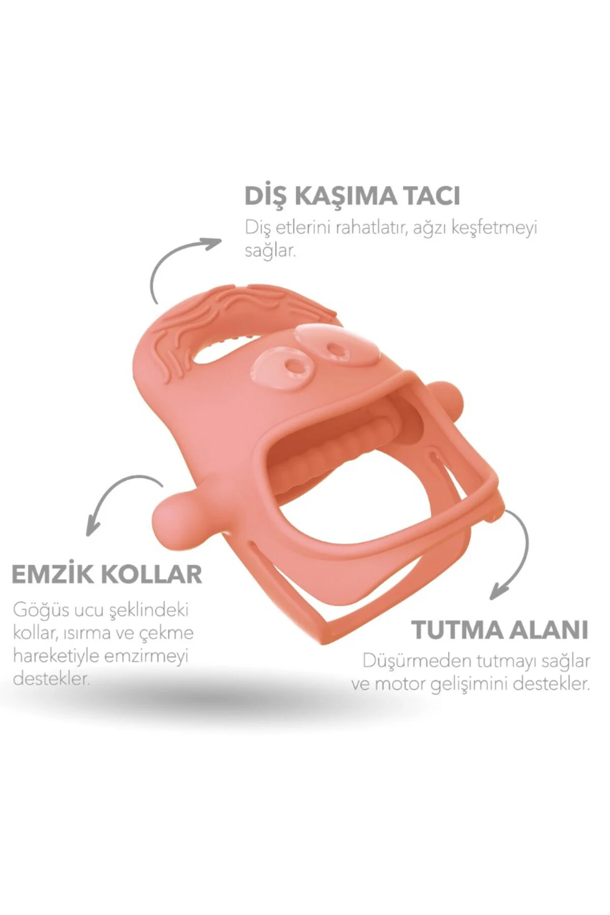 Diş Kaşıyıcı Somon