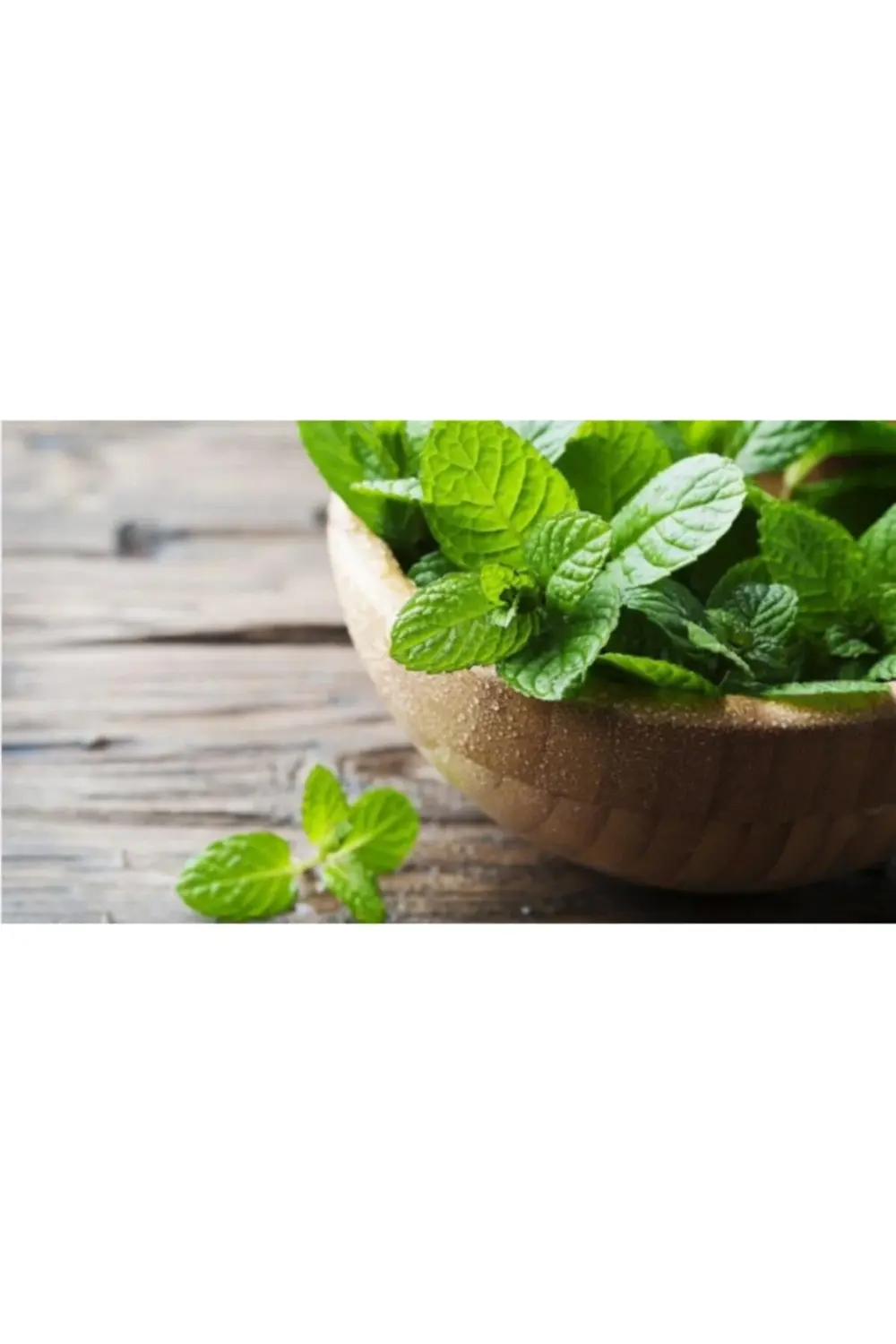 Diş Macunu Çürüklere Karşı Nane Ferahlığı 100 Ml 2 Adet