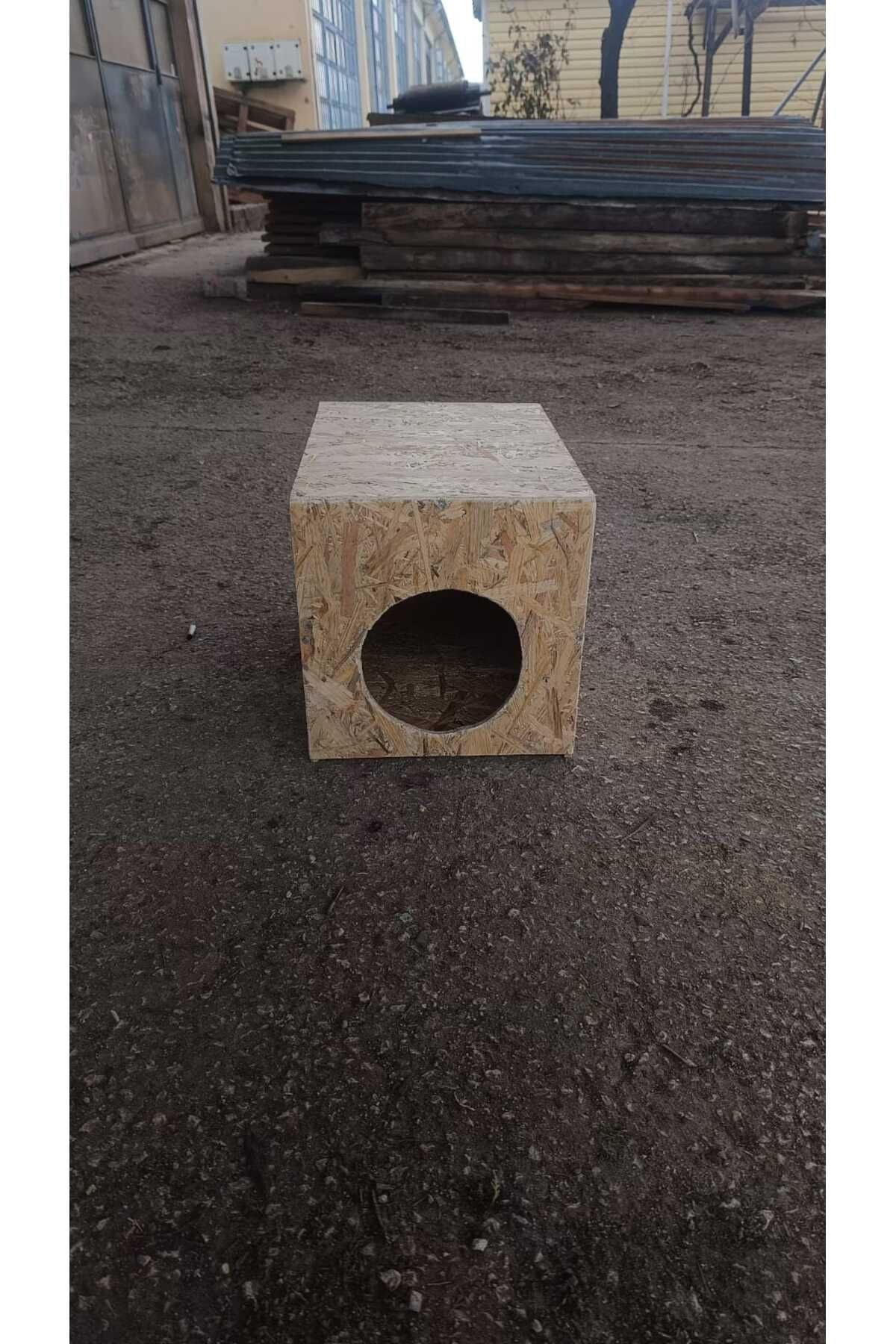 Worldofwood Diş Mekan Yağmura Ve Soğuğa Dayanikli Osb Kedi Evi Yuvasi Sokak D