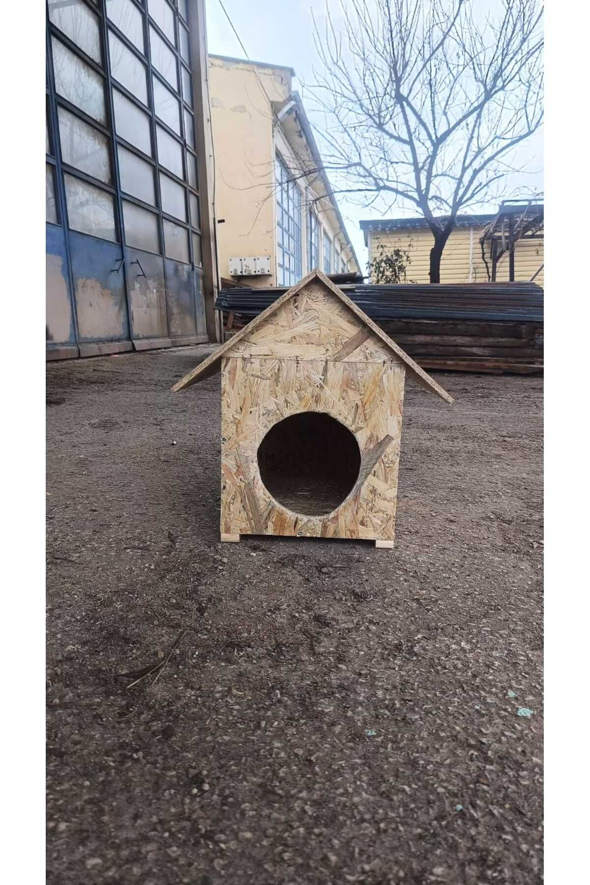 Worldofwood Diş Mekan Yağmura Ve Soğuğa Dayanikli Osb Kedi Evi Yuvasi
