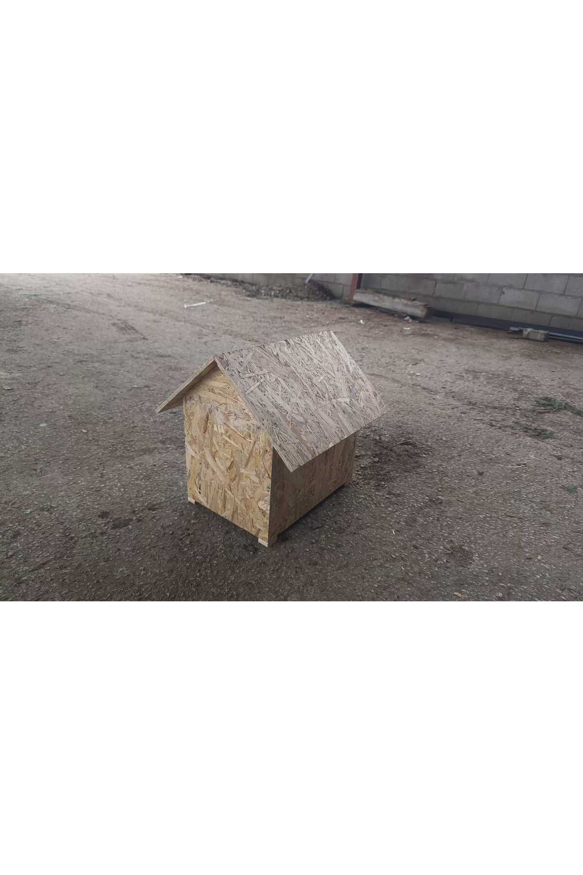 Worldofwood Diş Mekan Yağmura Ve Soğuğa Dayanikli Osb Kedi Evi Yuvasi