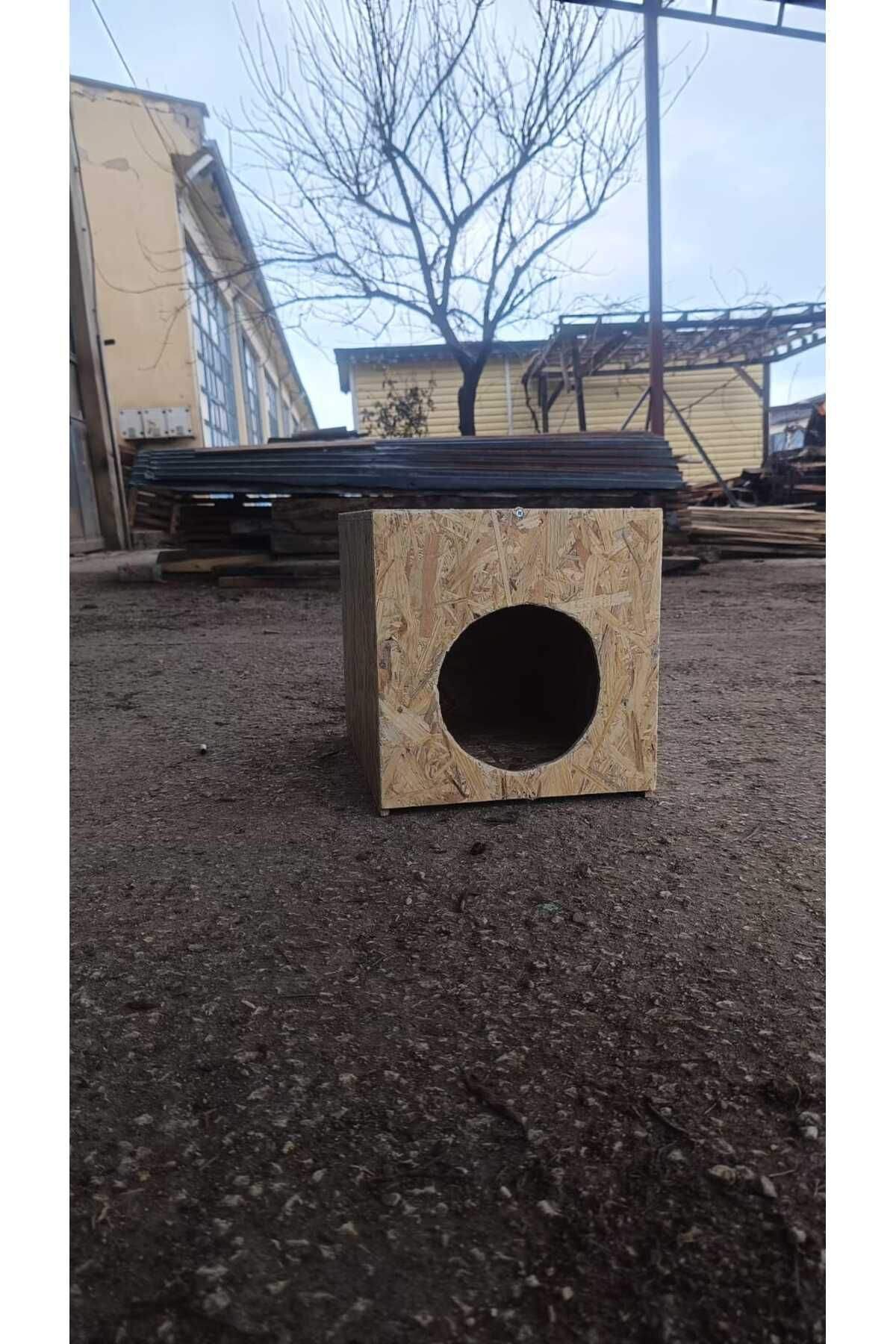 Worldofwood Diş Mekan Yağmura Ve Soğuğa Dayanikli Osb Kedi Evi Yuvasi Sokak D