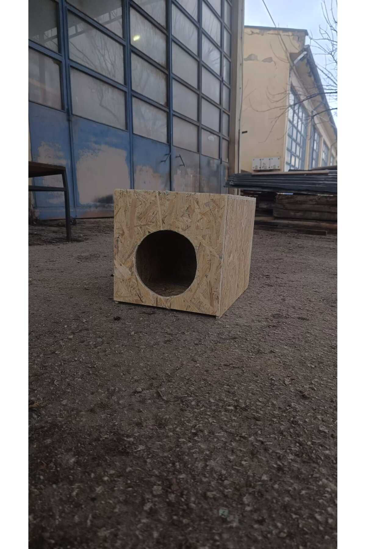 Worldofwood Diş Mekan Yağmura Ve Soğuğa Dayanikli Osb Kedi Evi Yuvasi Sokak D