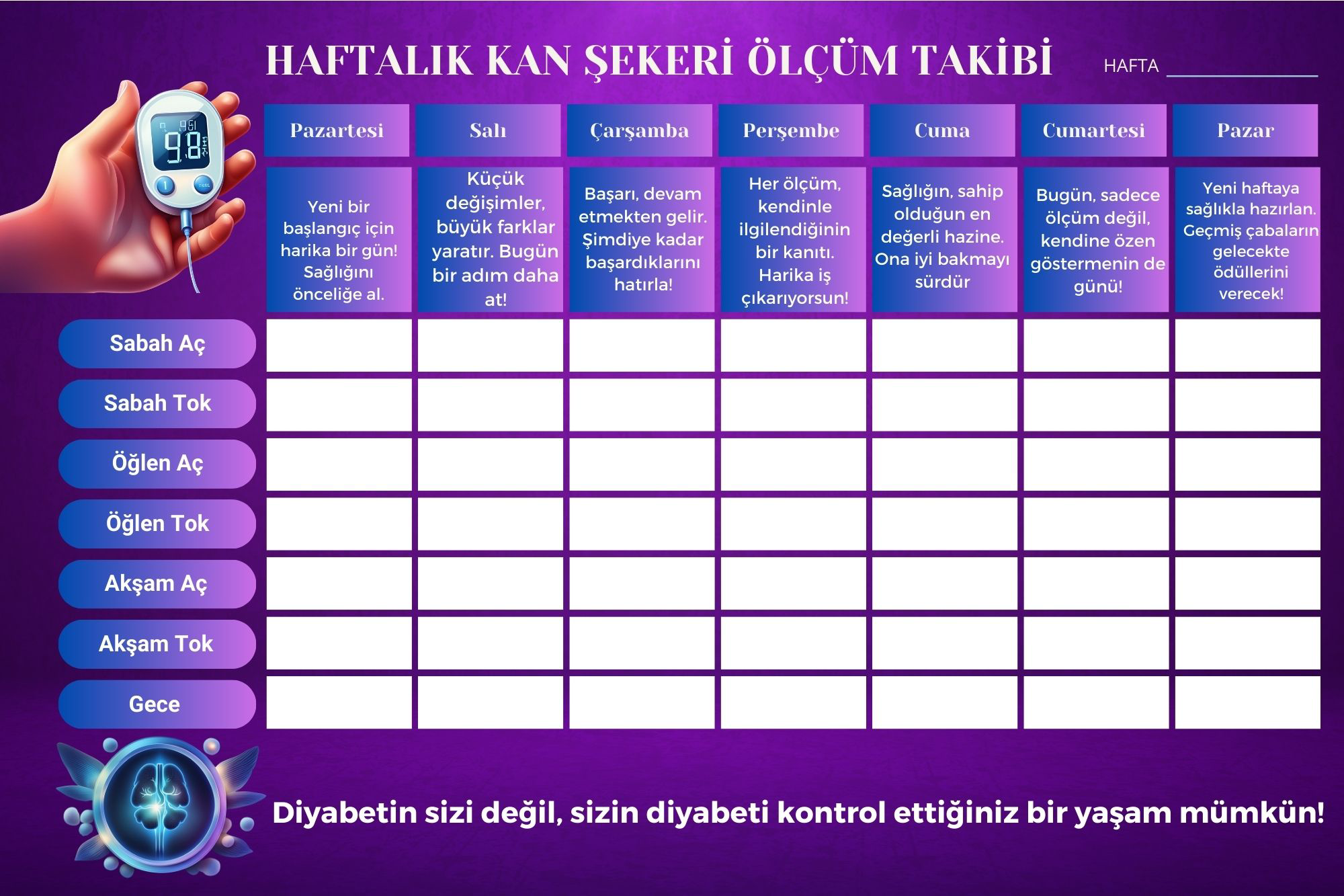 P Parla Diyabet Ölçüm Takip Çizelgesi Defteri A Kalite Özel Tasarim 3 Aylik A5