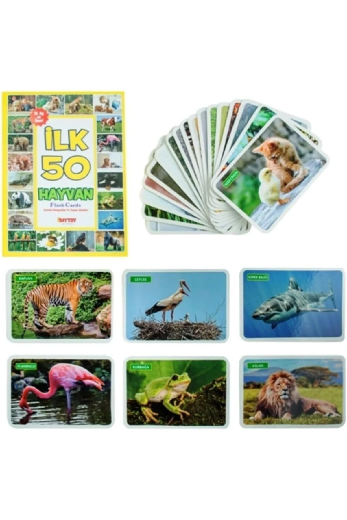 Diytoy, Ilk 50 Hayvan, Flash Cards, Zeka Kartları, Eğitici Kartlar
