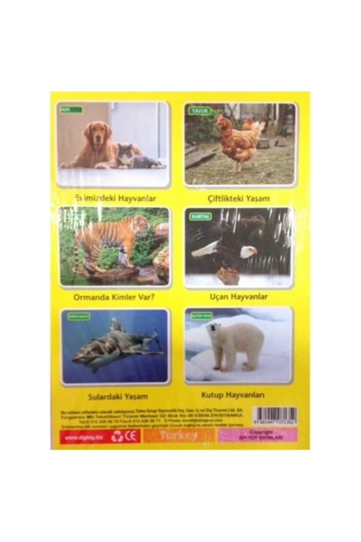 Diytoy, Ilk 50 Hayvan, Flash Cards, Zeka Kartları, Eğitici Kartlar