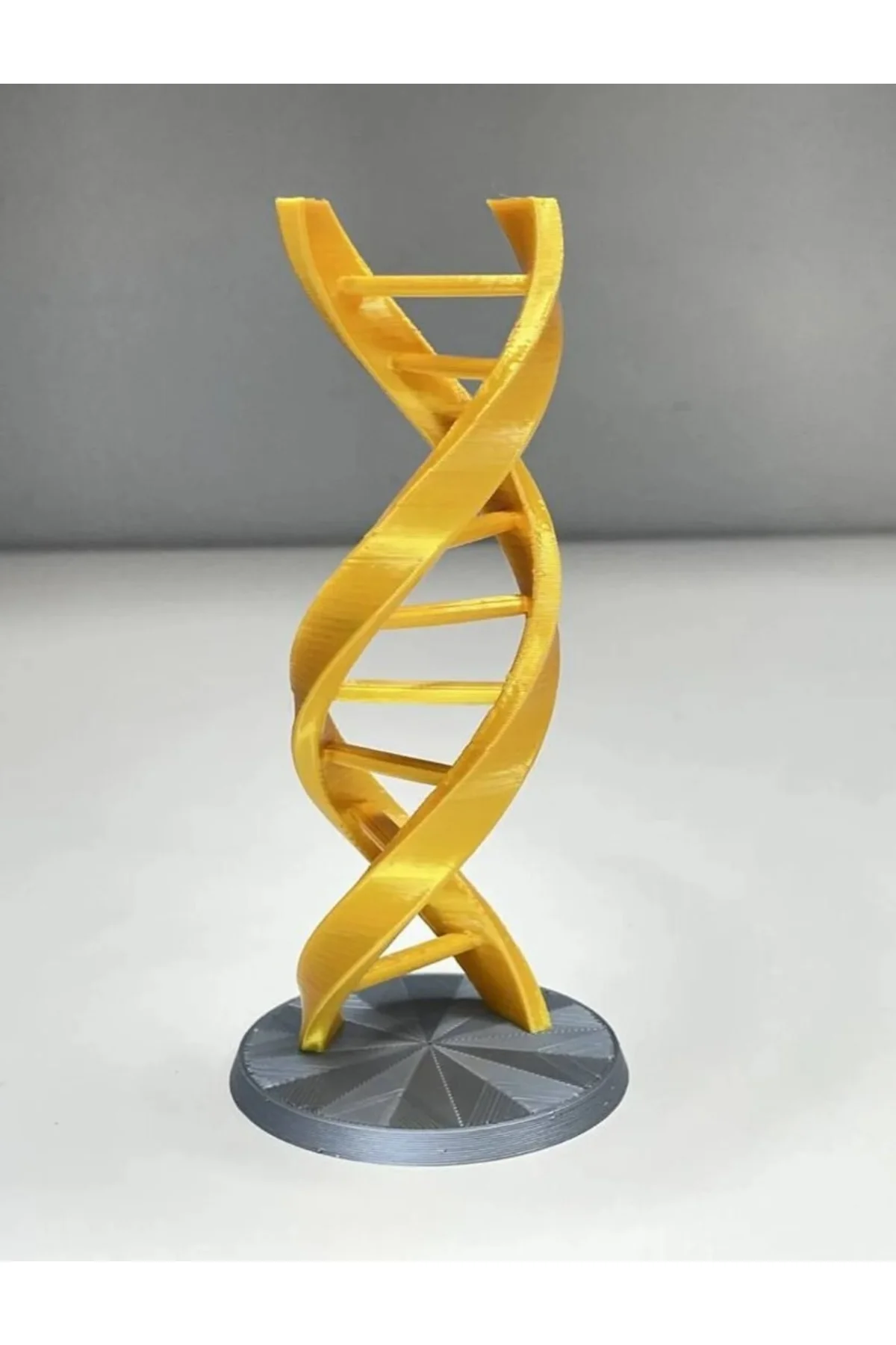Dna Modeli Sarmal