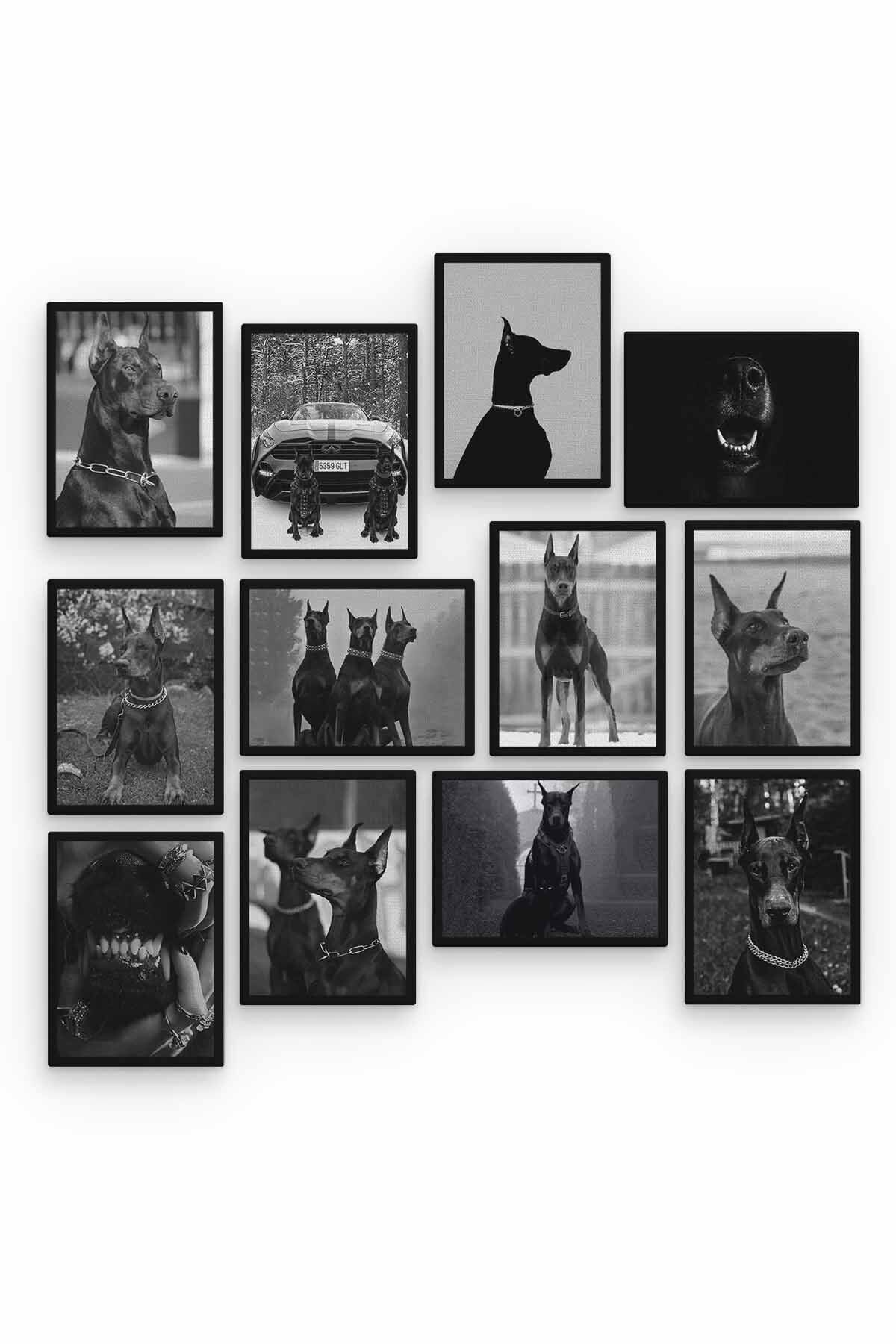 Doberman 12 Parça Ahşap Mdf Tablo Zlltb341