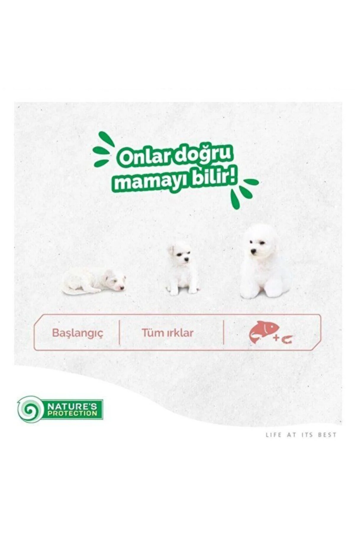 Dog Tavuklu Mini Stick Köpek Ödül Maması