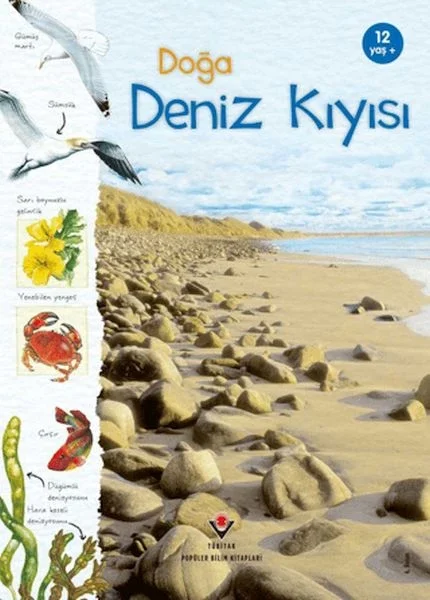 Doğa Deniz Kıyısı Fiyatı, Yorumları ve Özellikleri