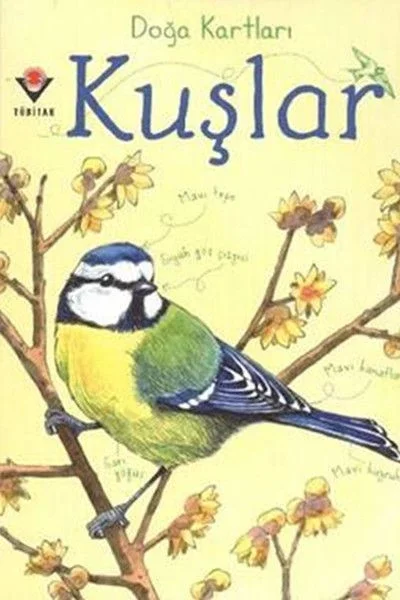 Doğa Kartları - Kuşlar Fiyatı, Yorumları ve Özellikleri