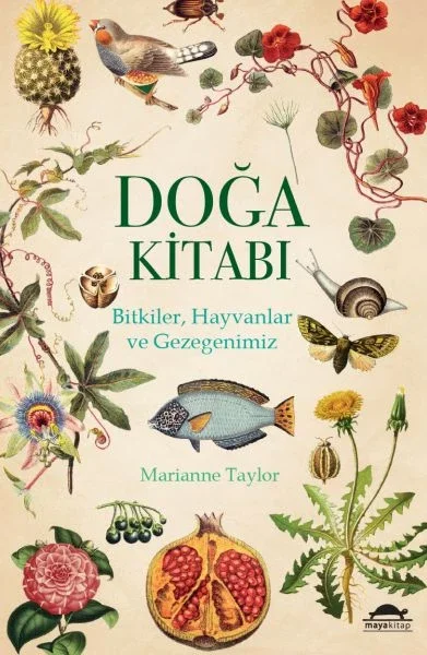Doğa Kitabı - Bitkiler, Hayvanlar ve Gezegenimiz Fiyatı, Yorumları ve Özellikleri